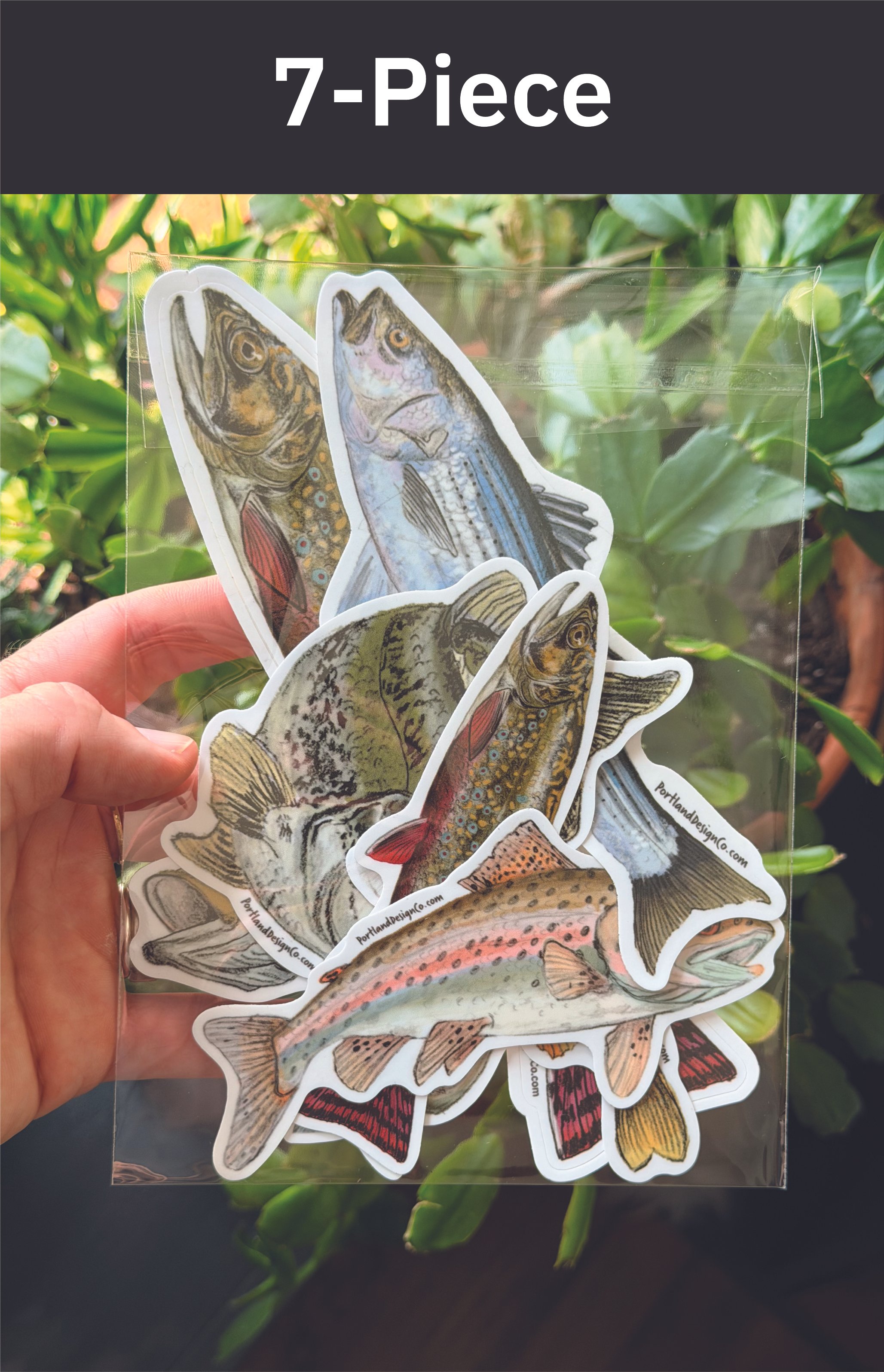 7-piece.FishPack.jpg