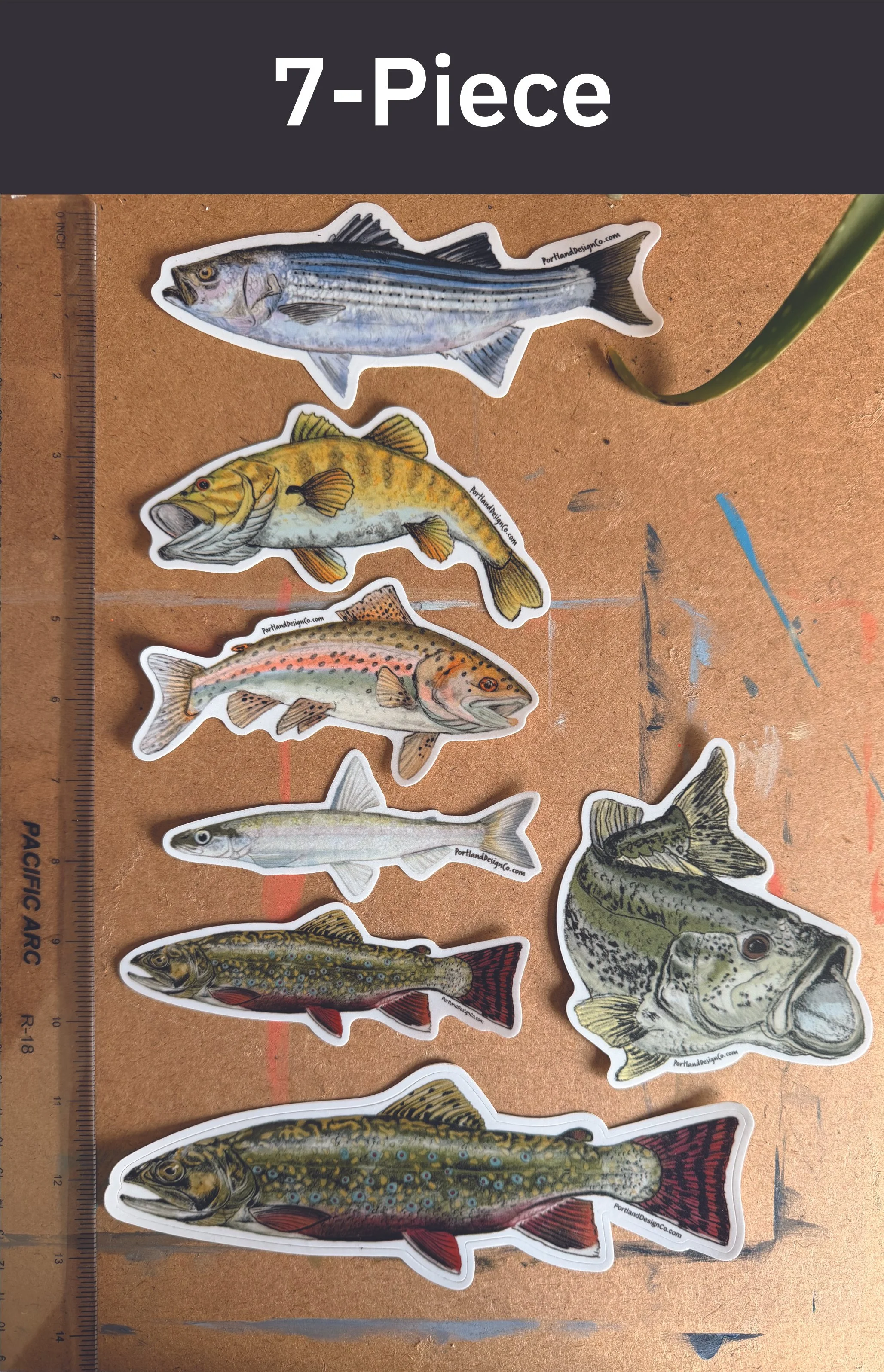 7-piece.FishPack-2.jpg