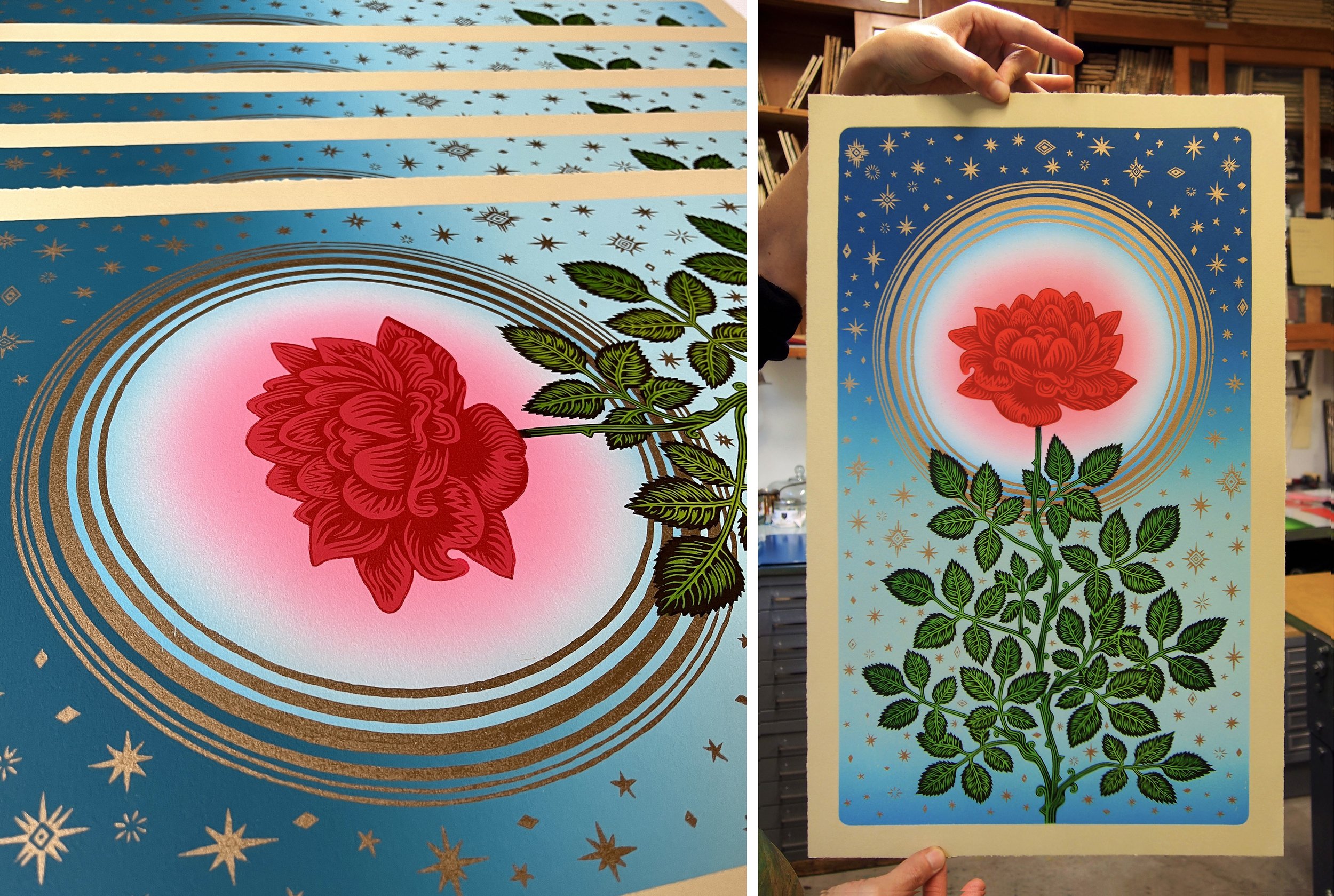 "GLOWING ROSE" Woodcut Print, Woodblock Print by Valerie Lueth, Tugboat Printshop