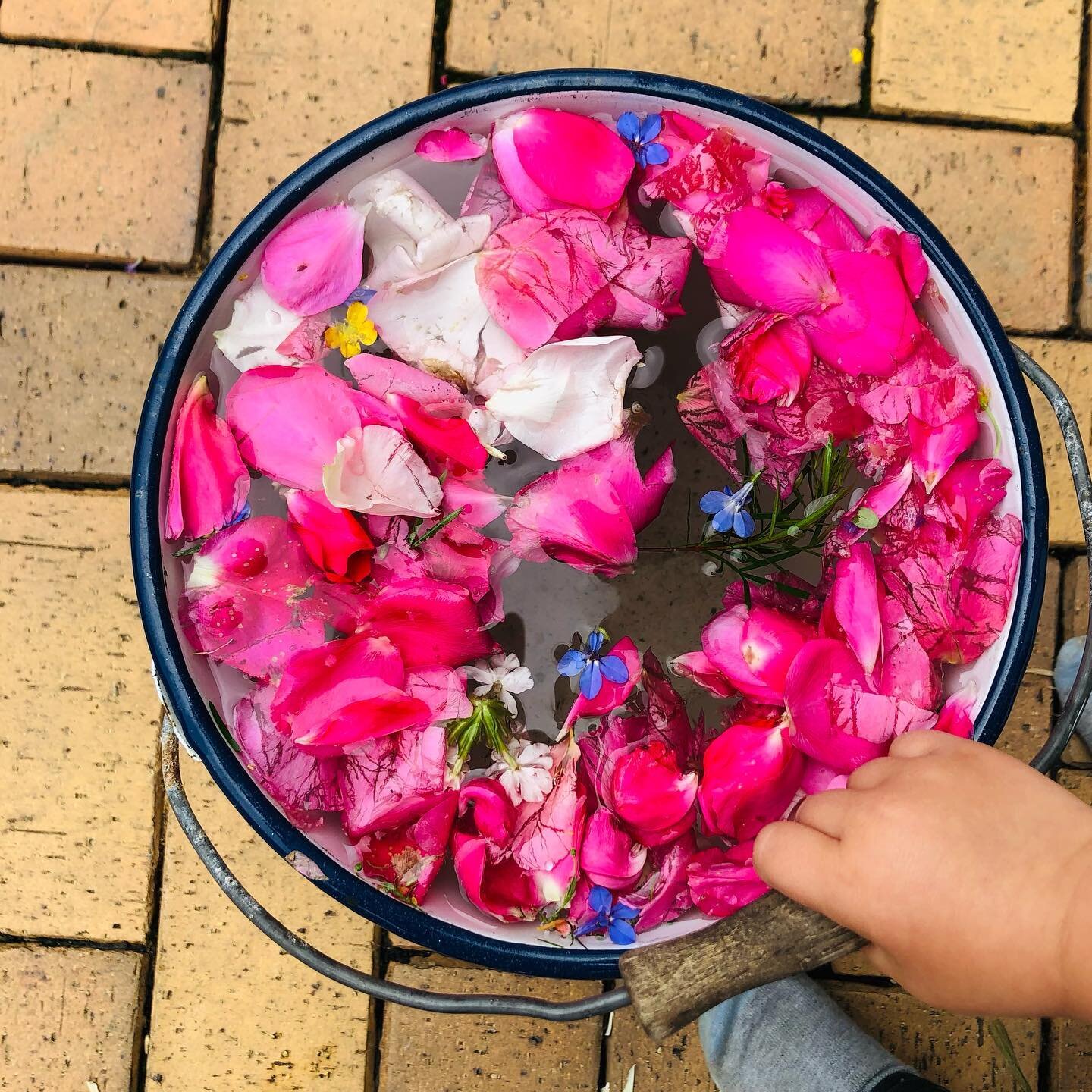 The boys felt inspired by our carrot soup with bread crumbs and Furikake and made some rose petal soup in the garden ❤️ 🌹 The recipe of this easy and nutritious soup will be on our Homepage: www.seaweedadventure.com shortly and get a sneak preview o