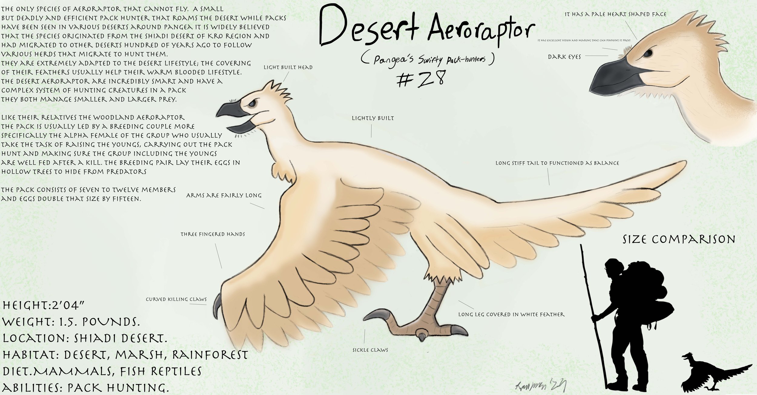 DesertAeropraptorport copy.jpg