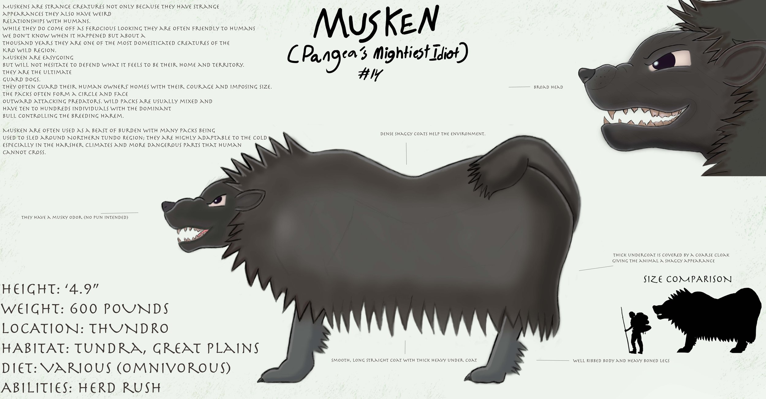 muSKENTYPE copy.jpg