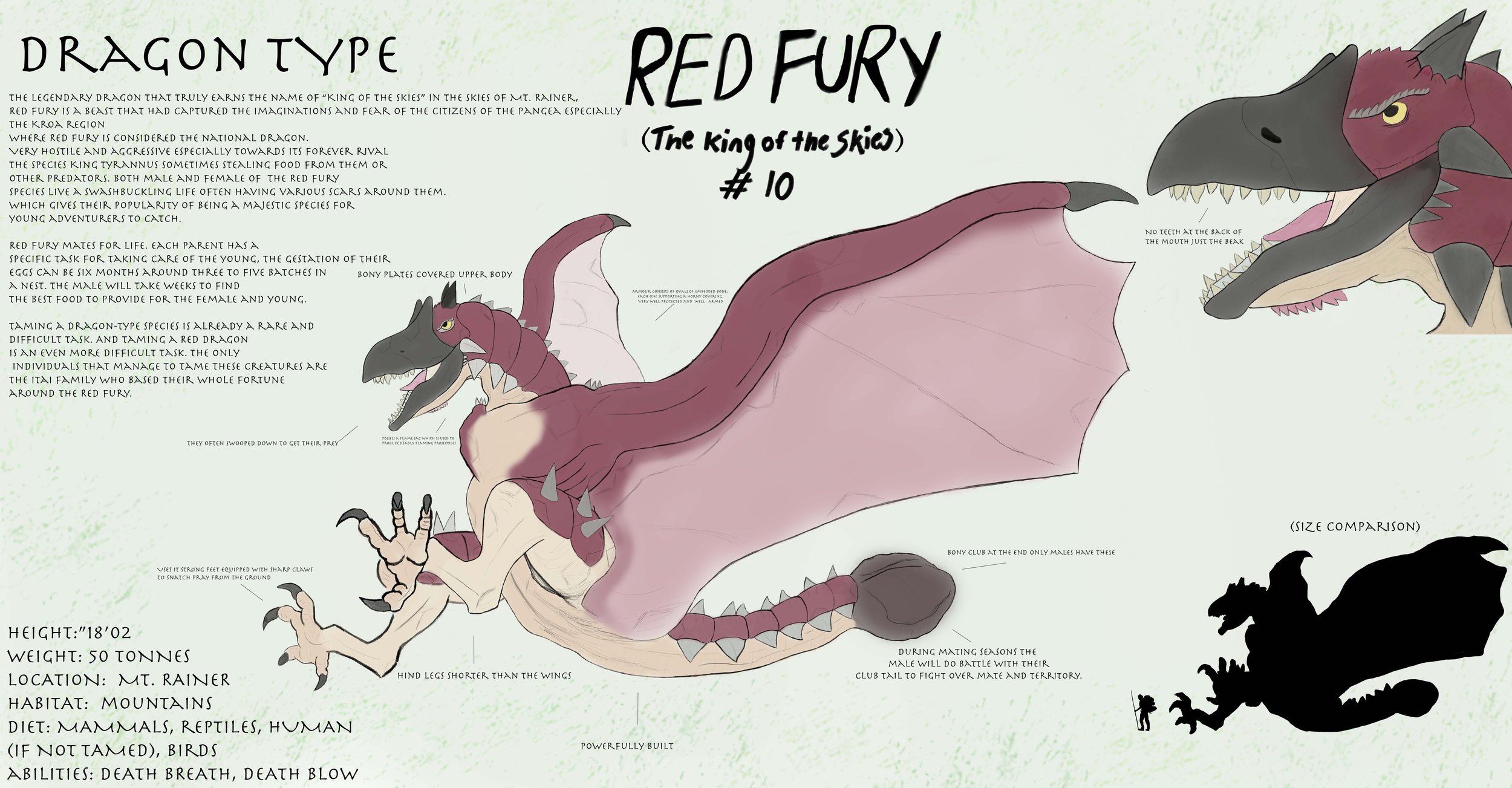 REDFURYPORT copy.jpg