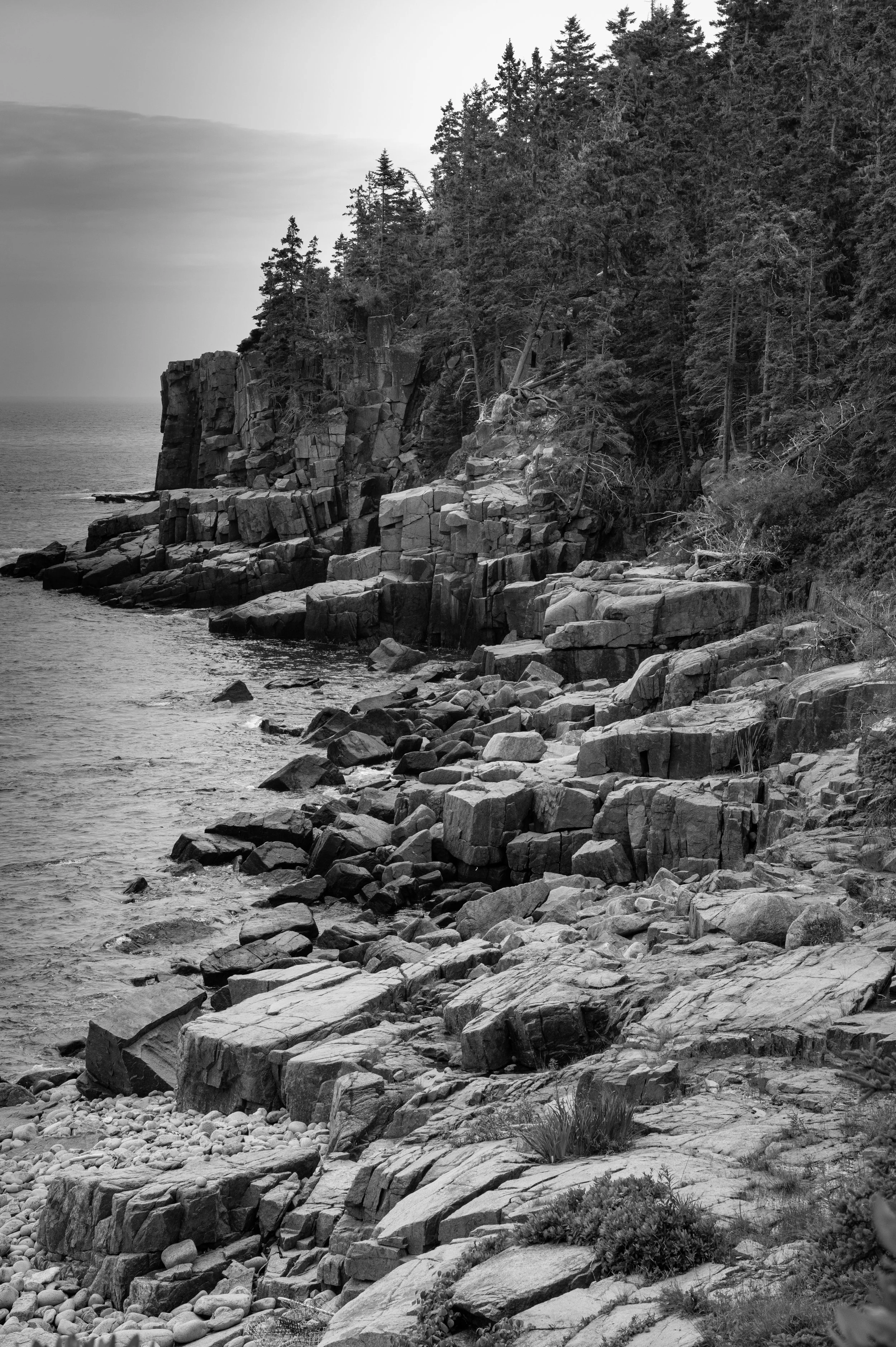 Acadia - JUL 2026