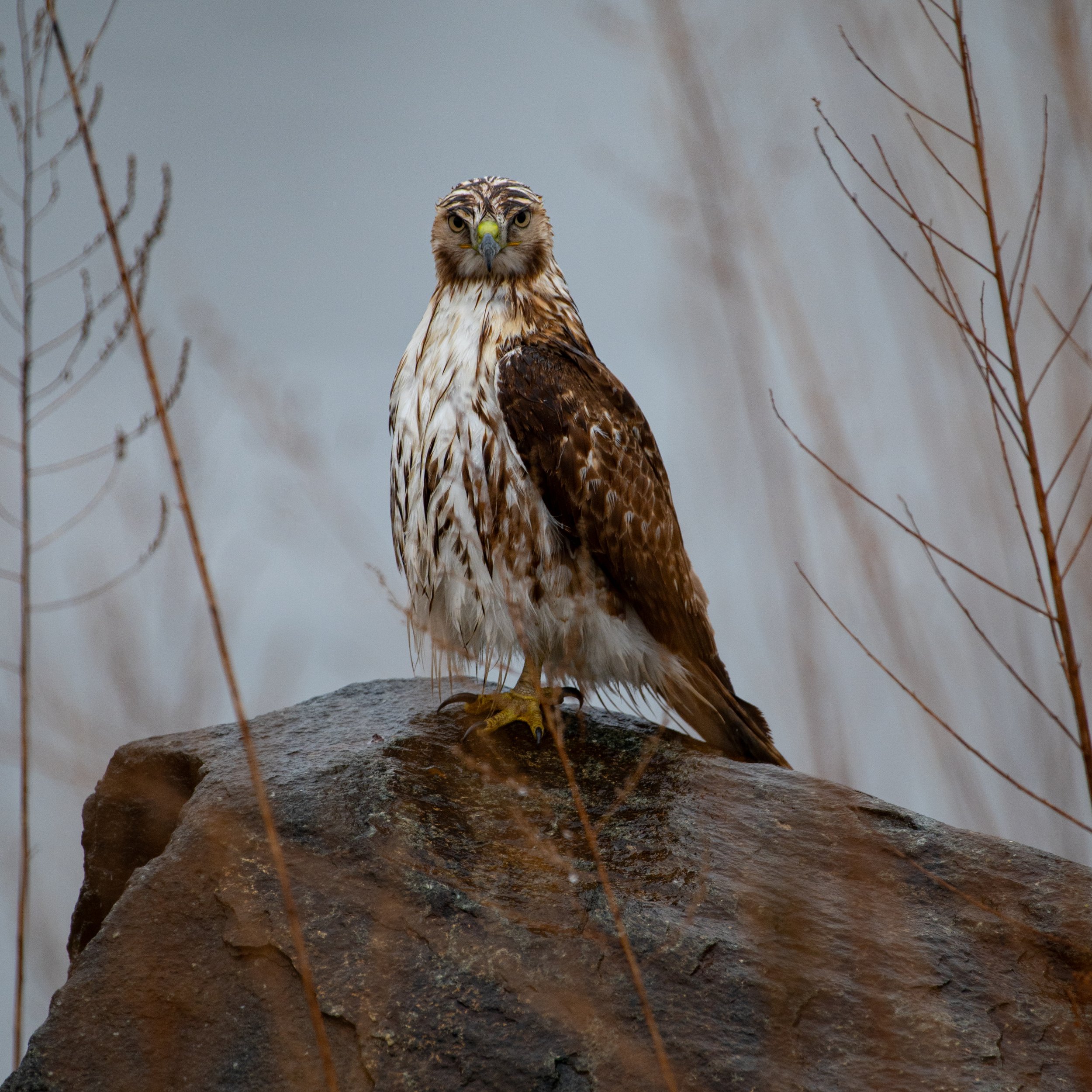 Why you NEED to go out shooting in the rain (And the photos to prove it!)