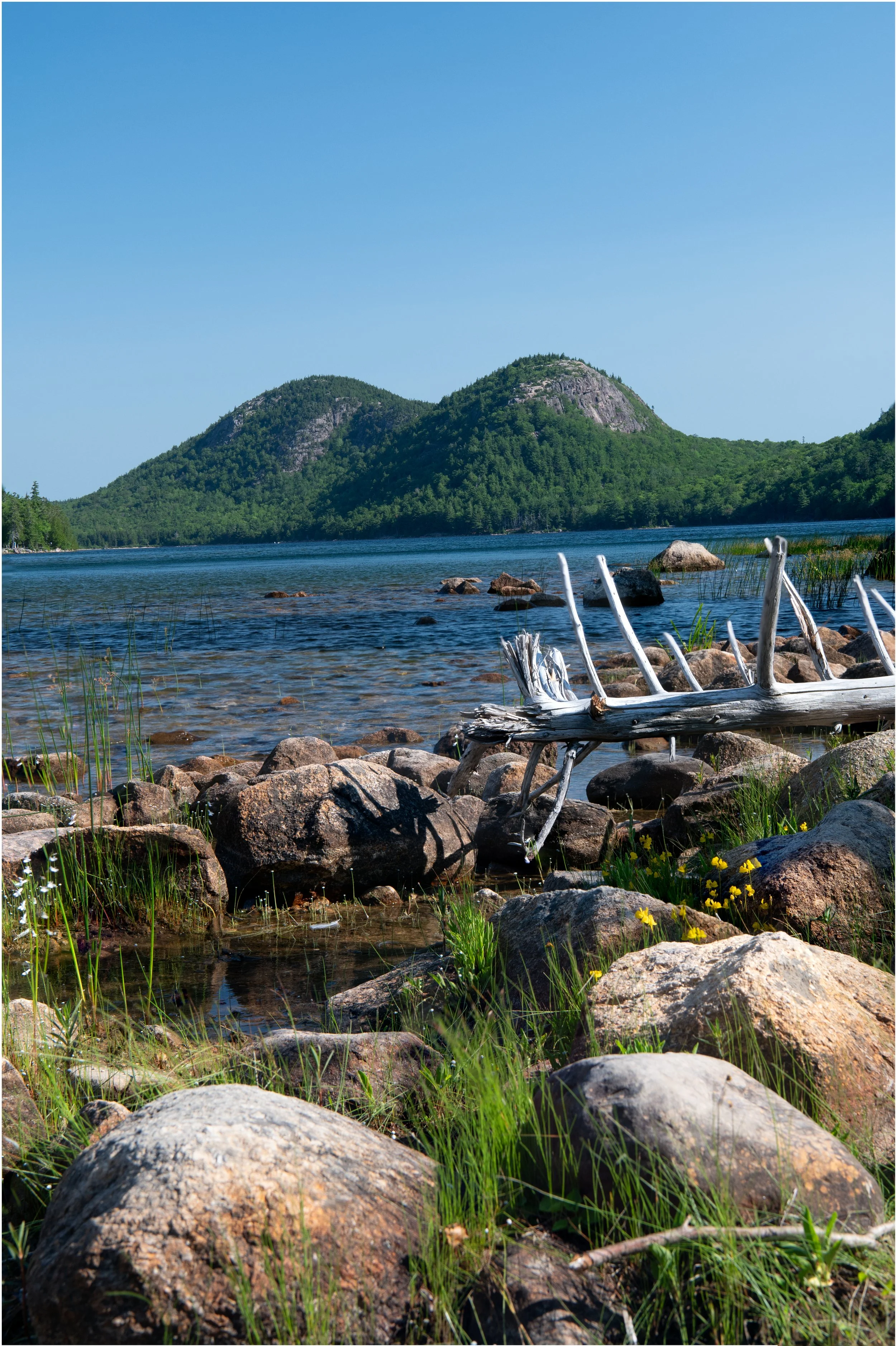Acadia - JUL 2026