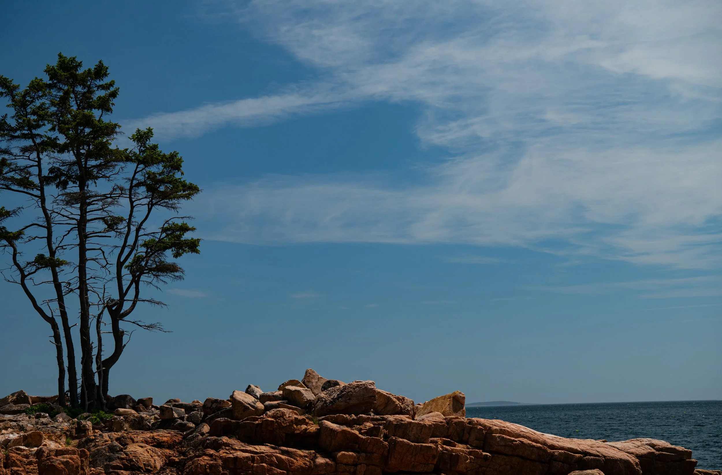 Acadia - JUL 2026