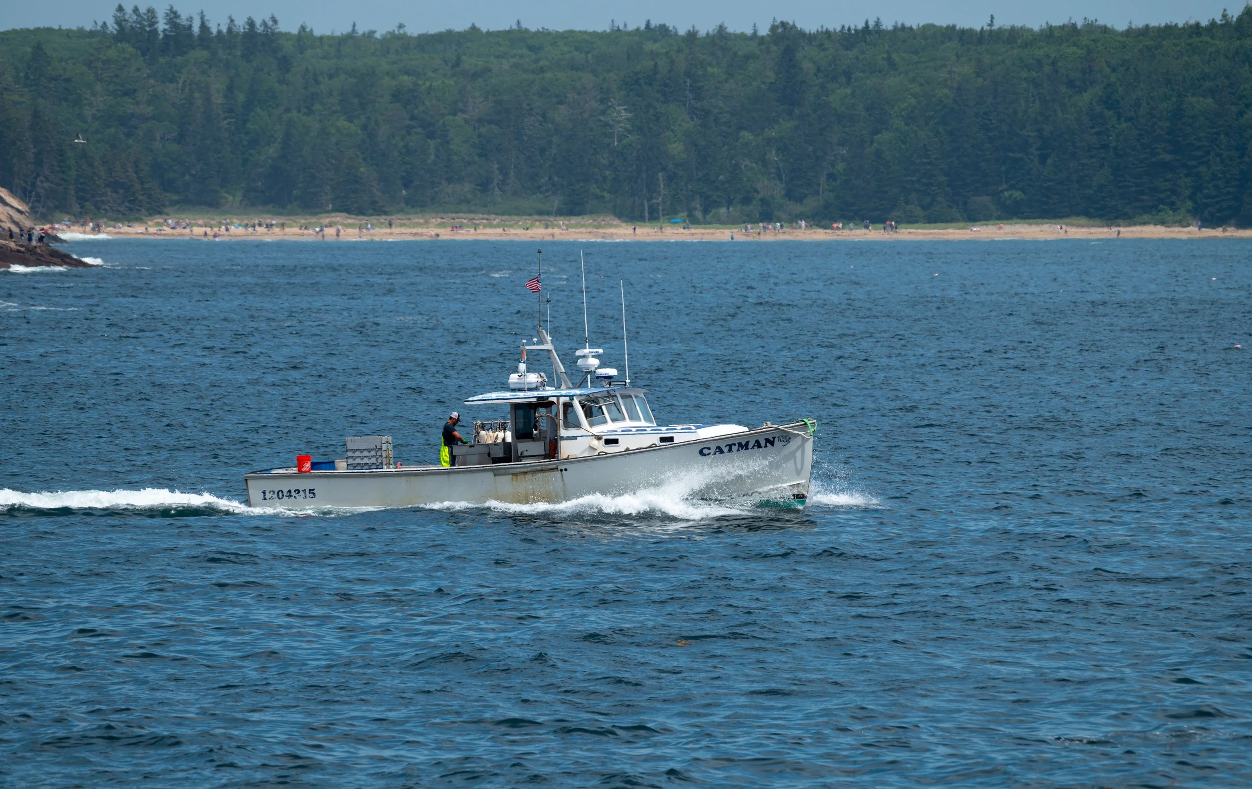 Acadia - JUL 2026