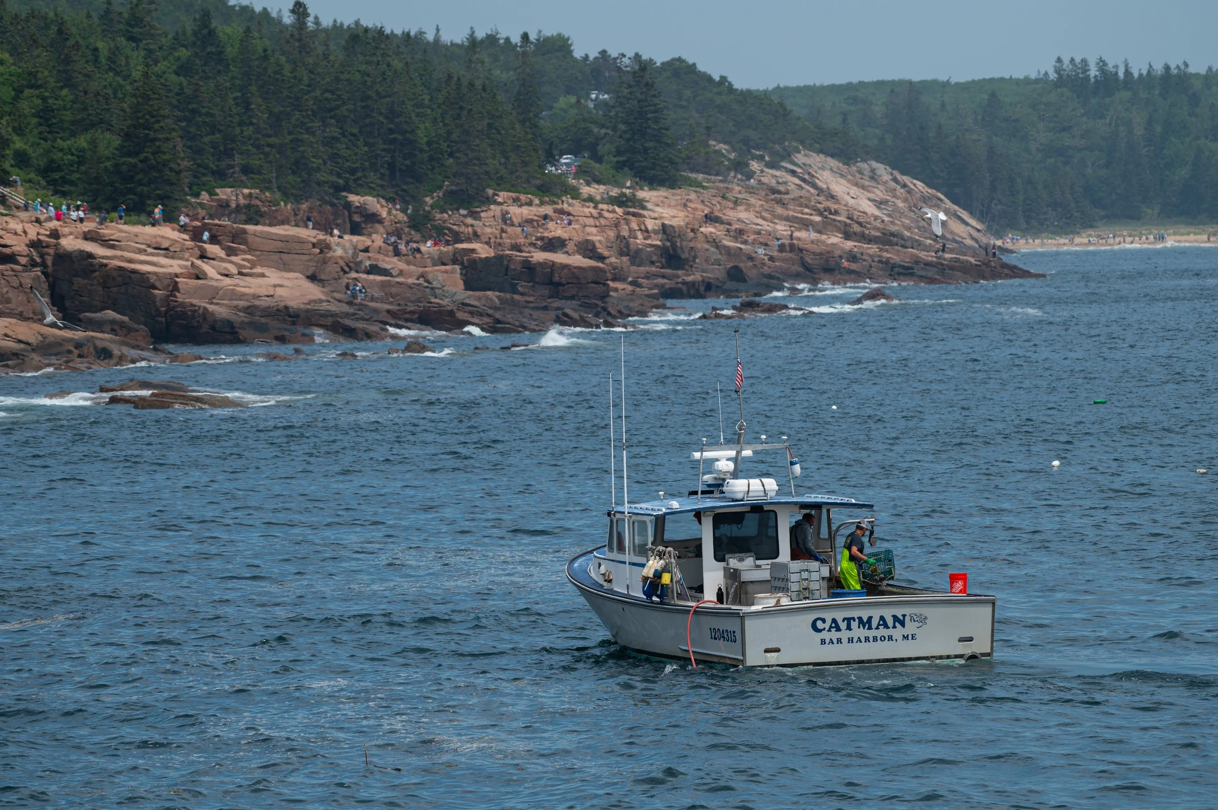 Acadia - JUL 2026