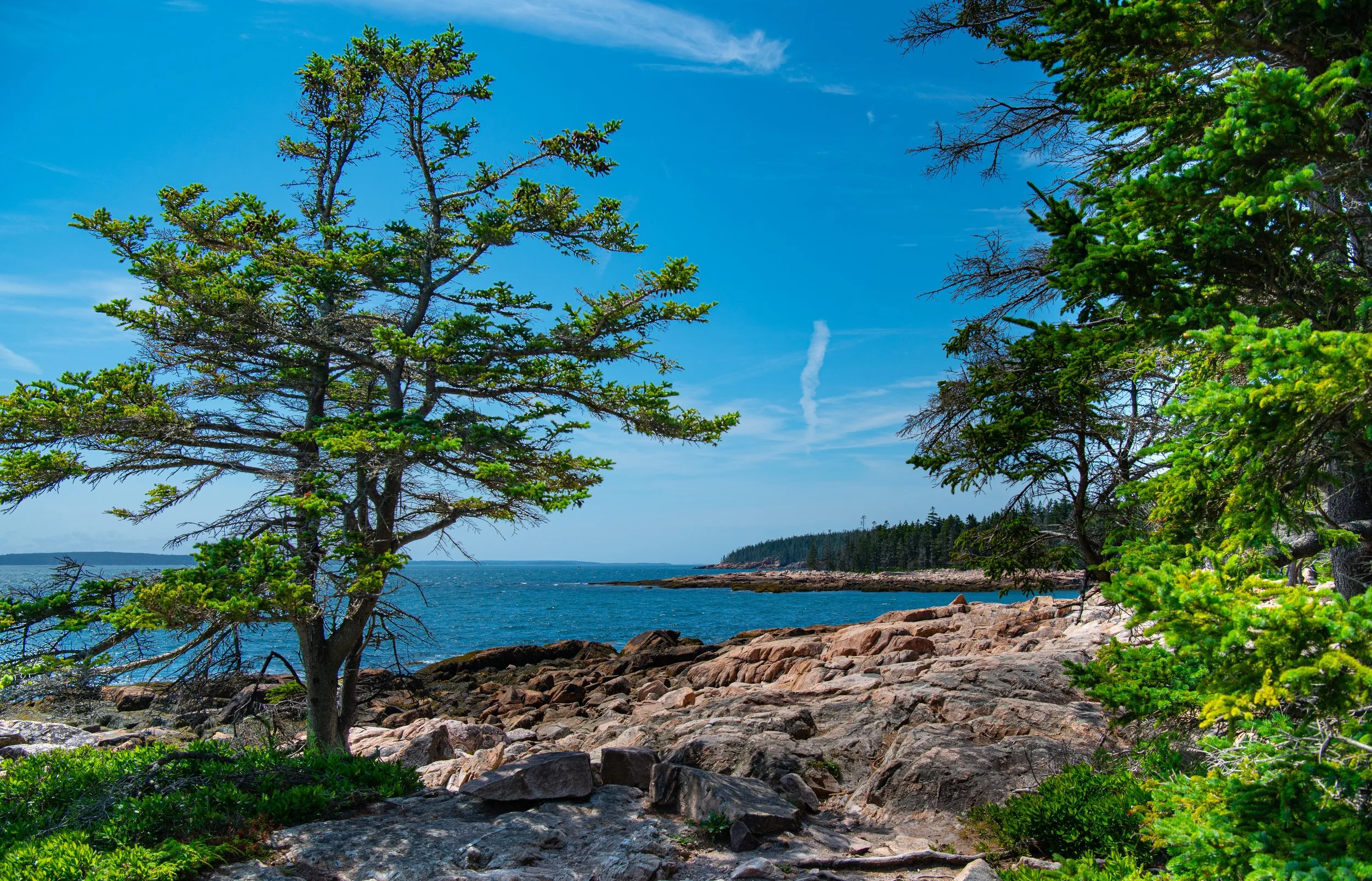 Acadia - JUL 2026