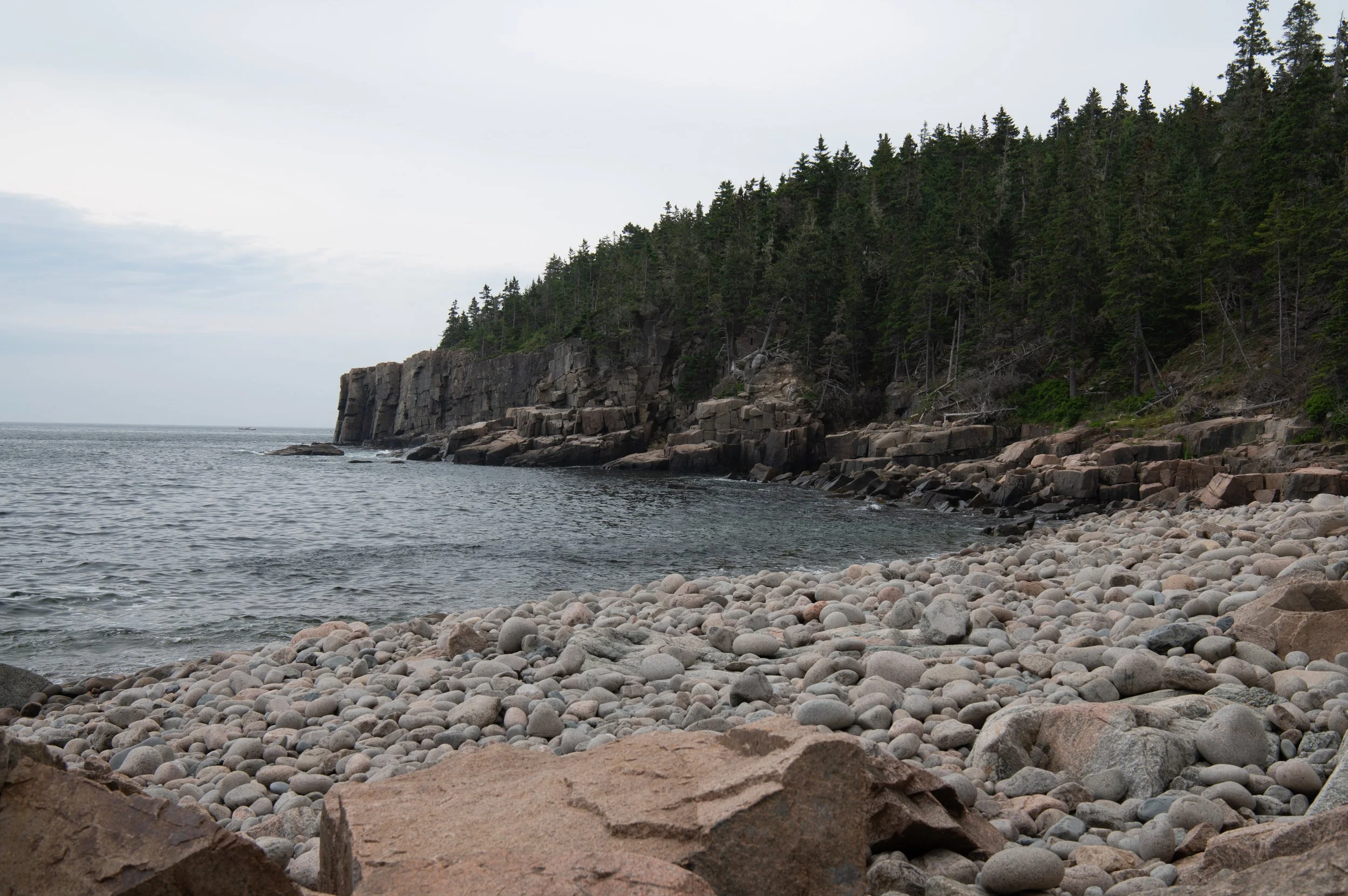Acadia - JUL 2026