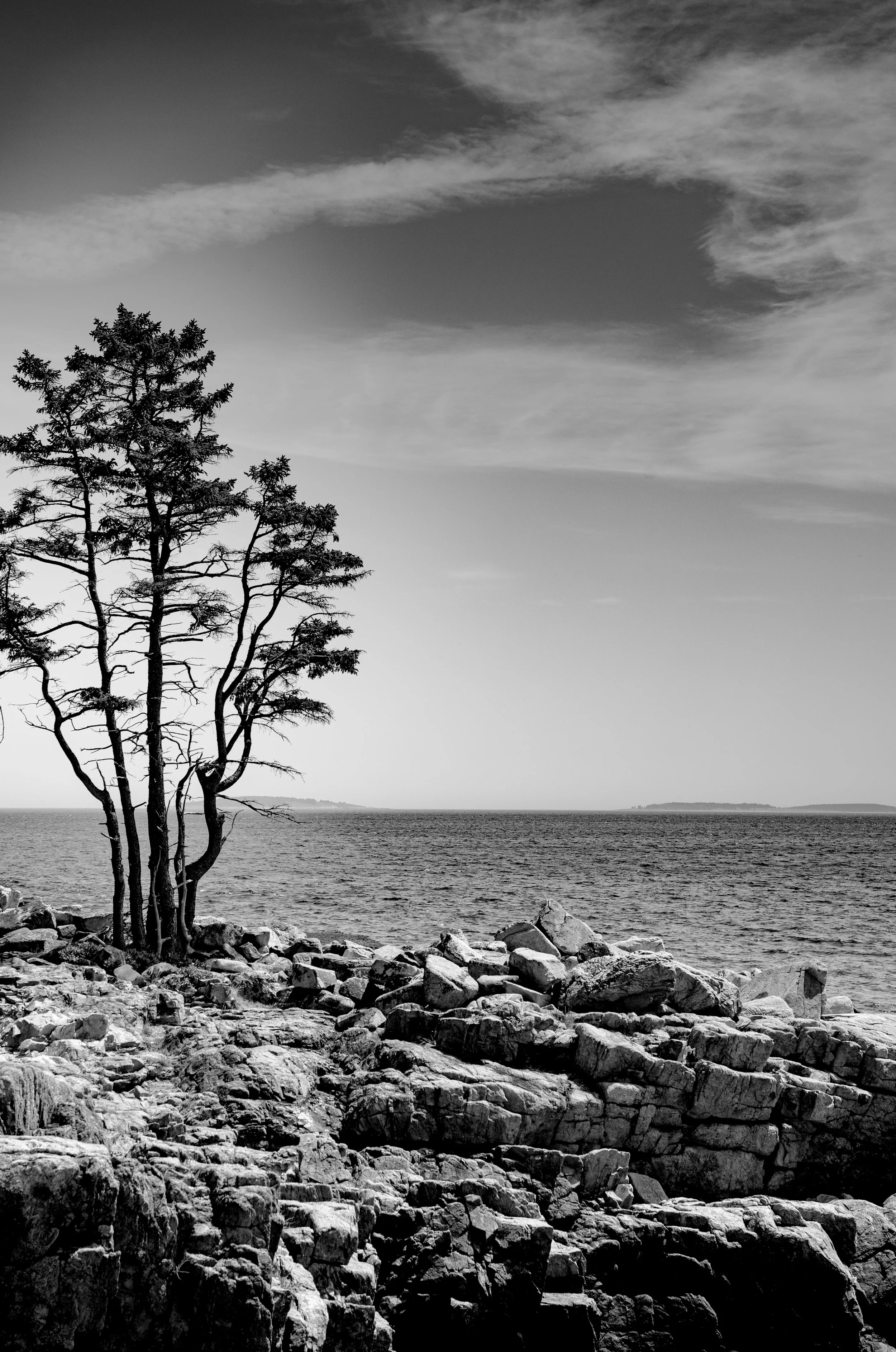 Acadia - JUL 2026