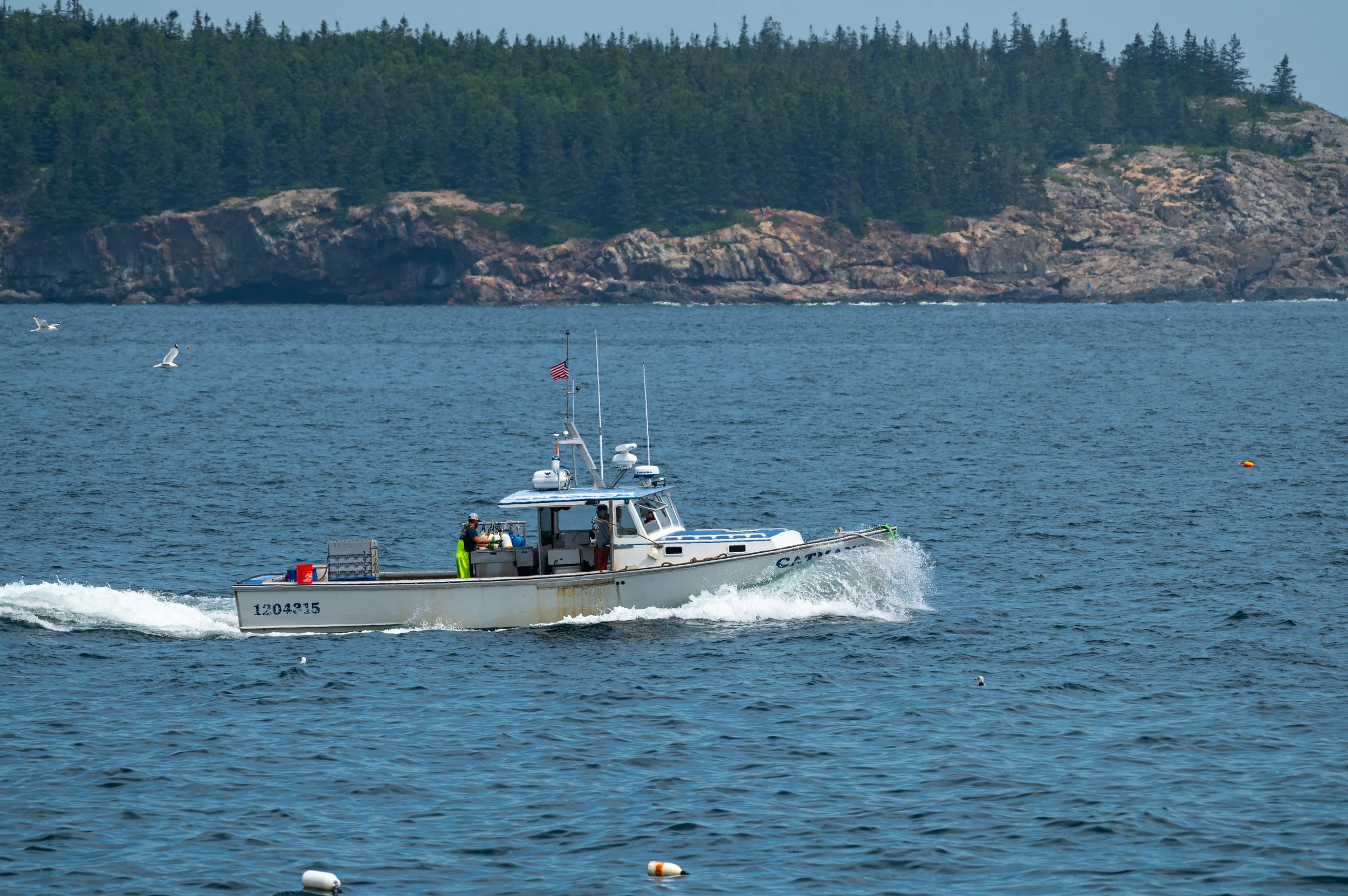 Acadia - JUL 2026