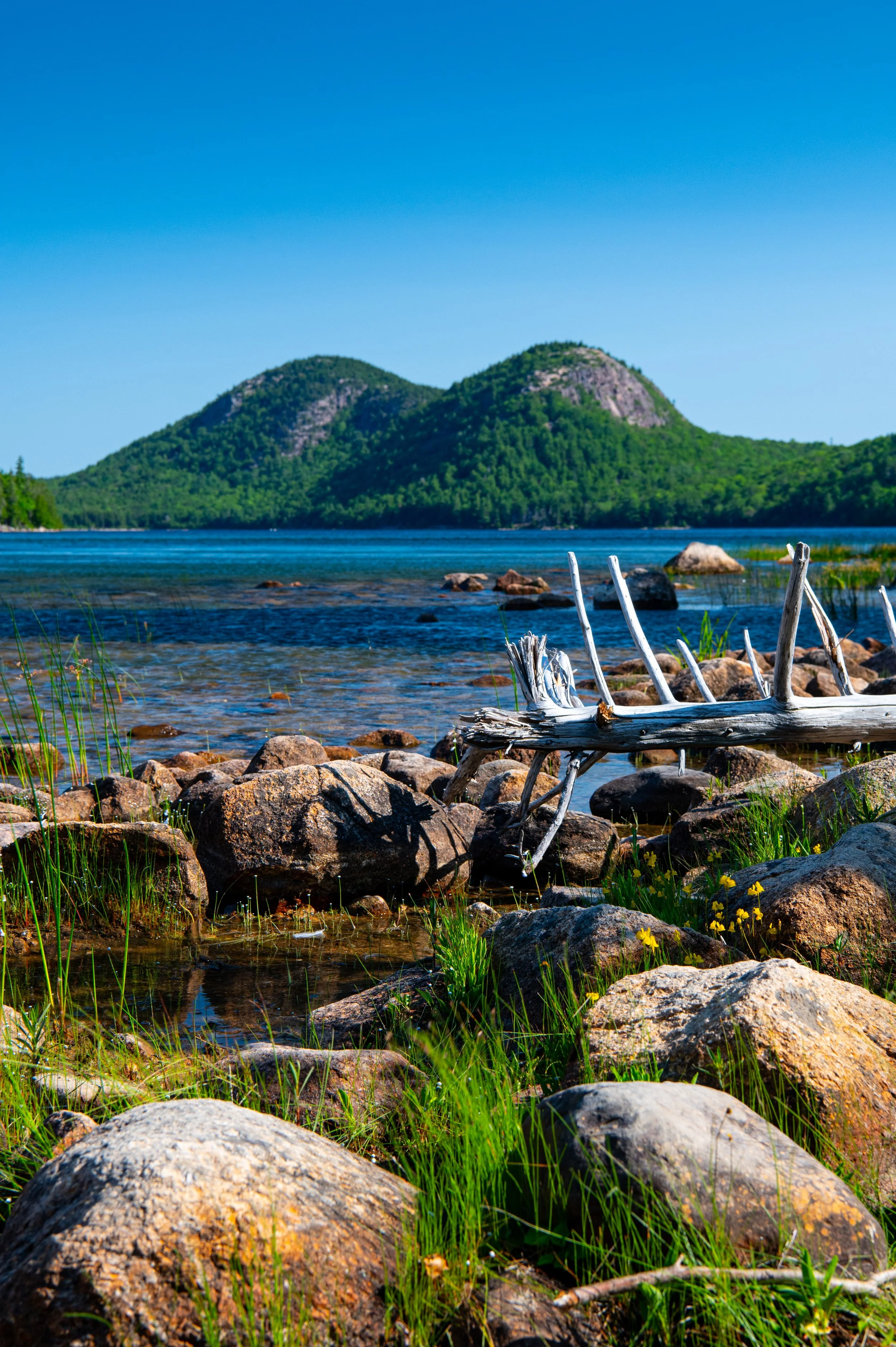 Acadia - JUL 2026