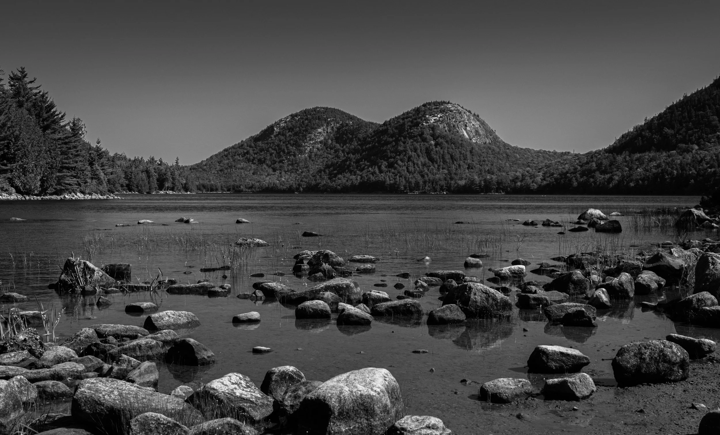 Acadia - JUL 2026