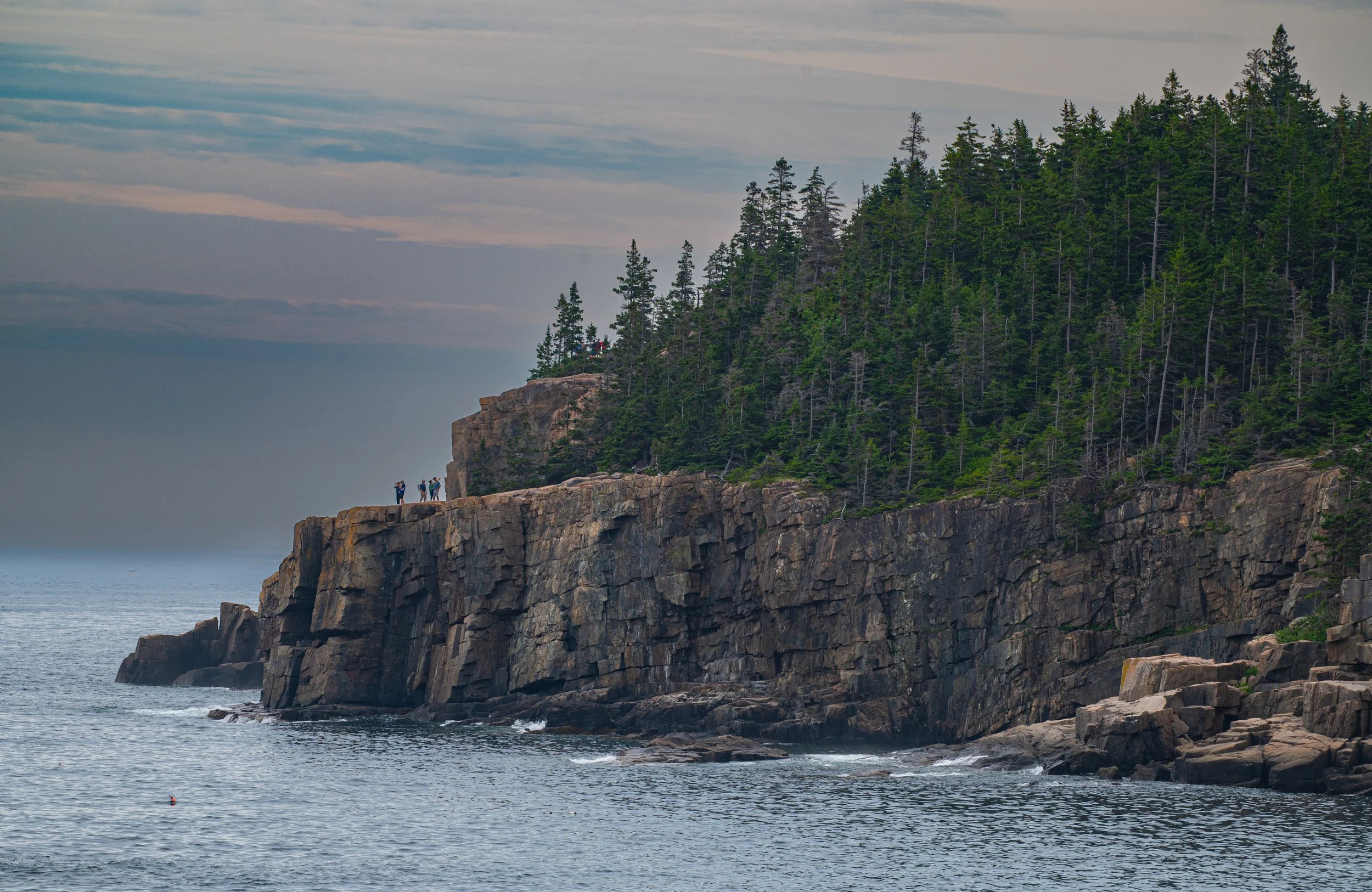 Acadia - JUL 2026