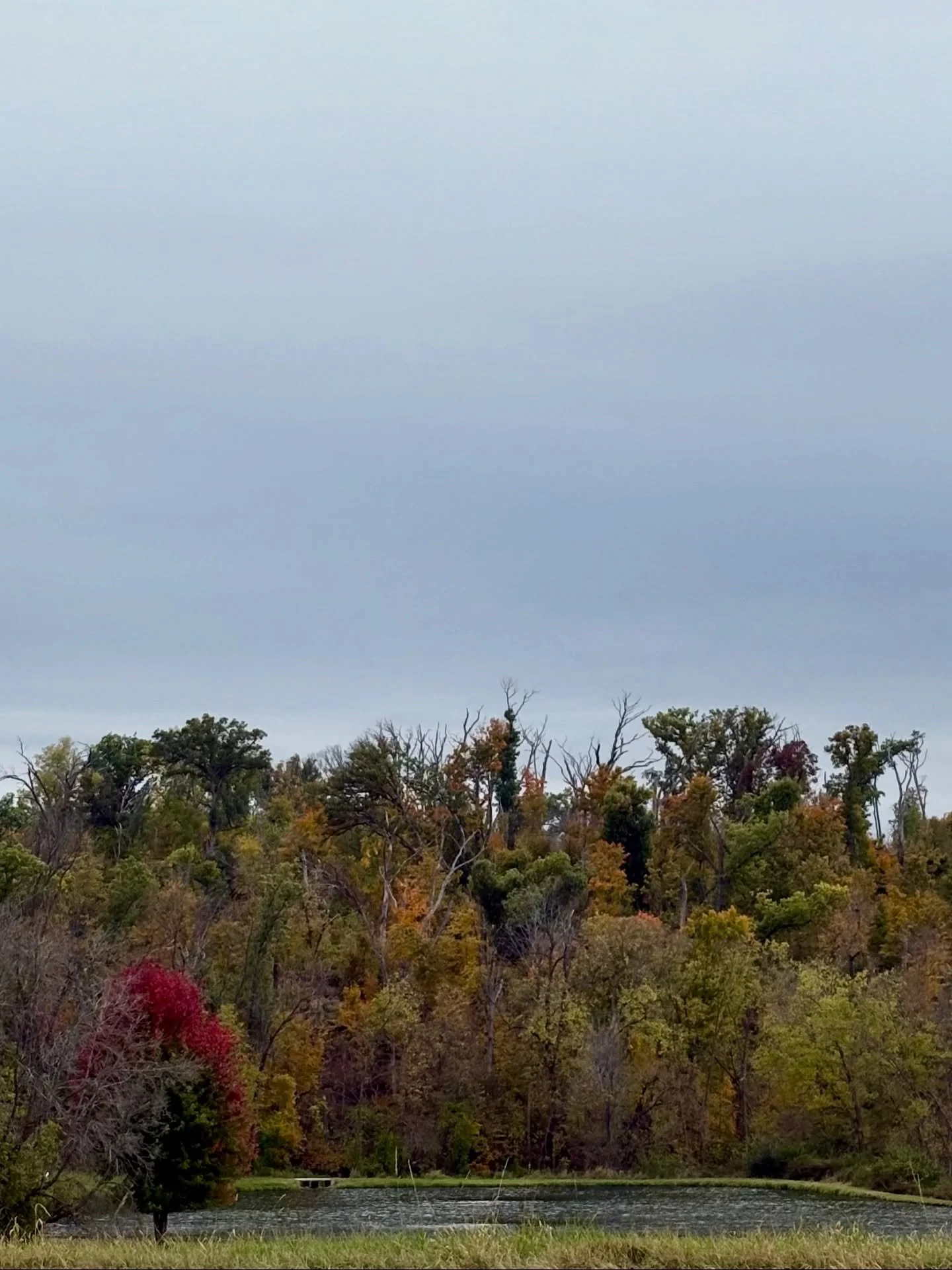 Autumn hits difference in the Midwest.