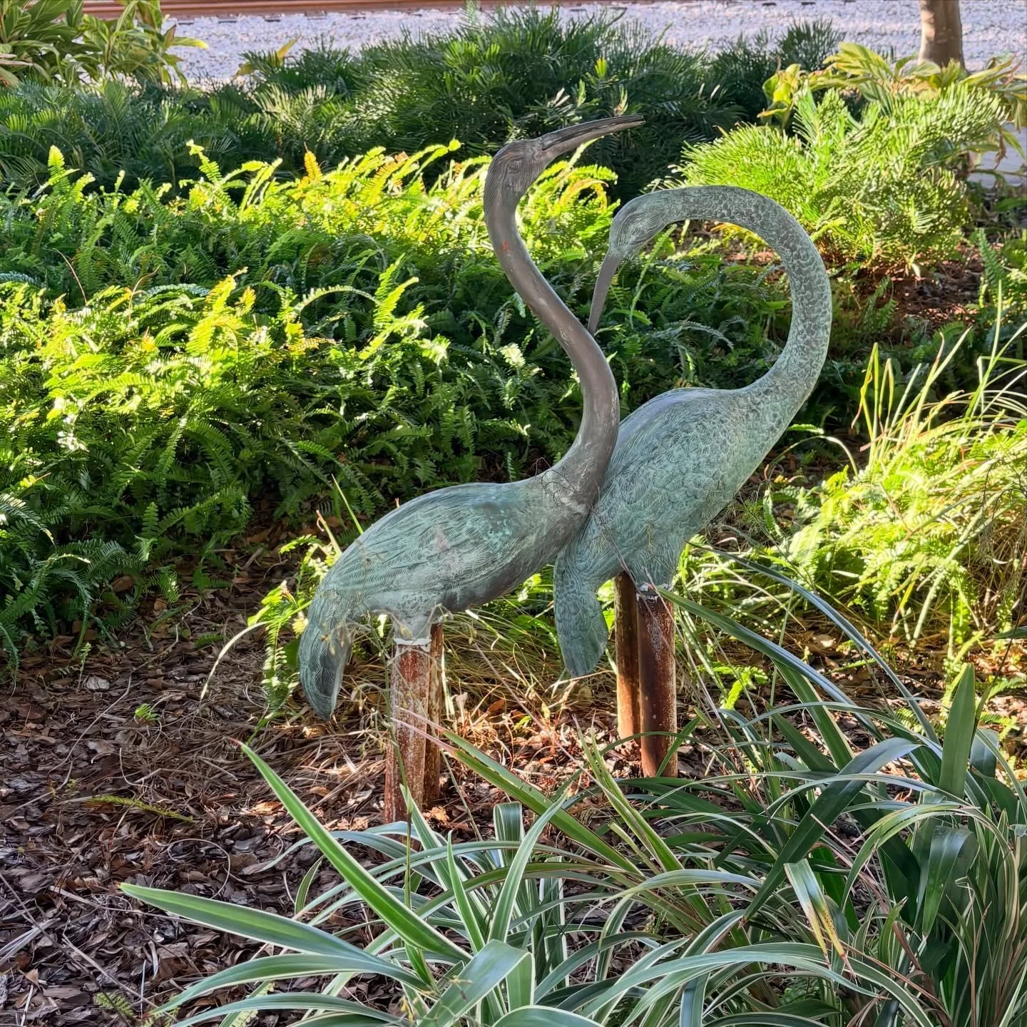 A wonderful work trip. The sun and friends were good for my soul