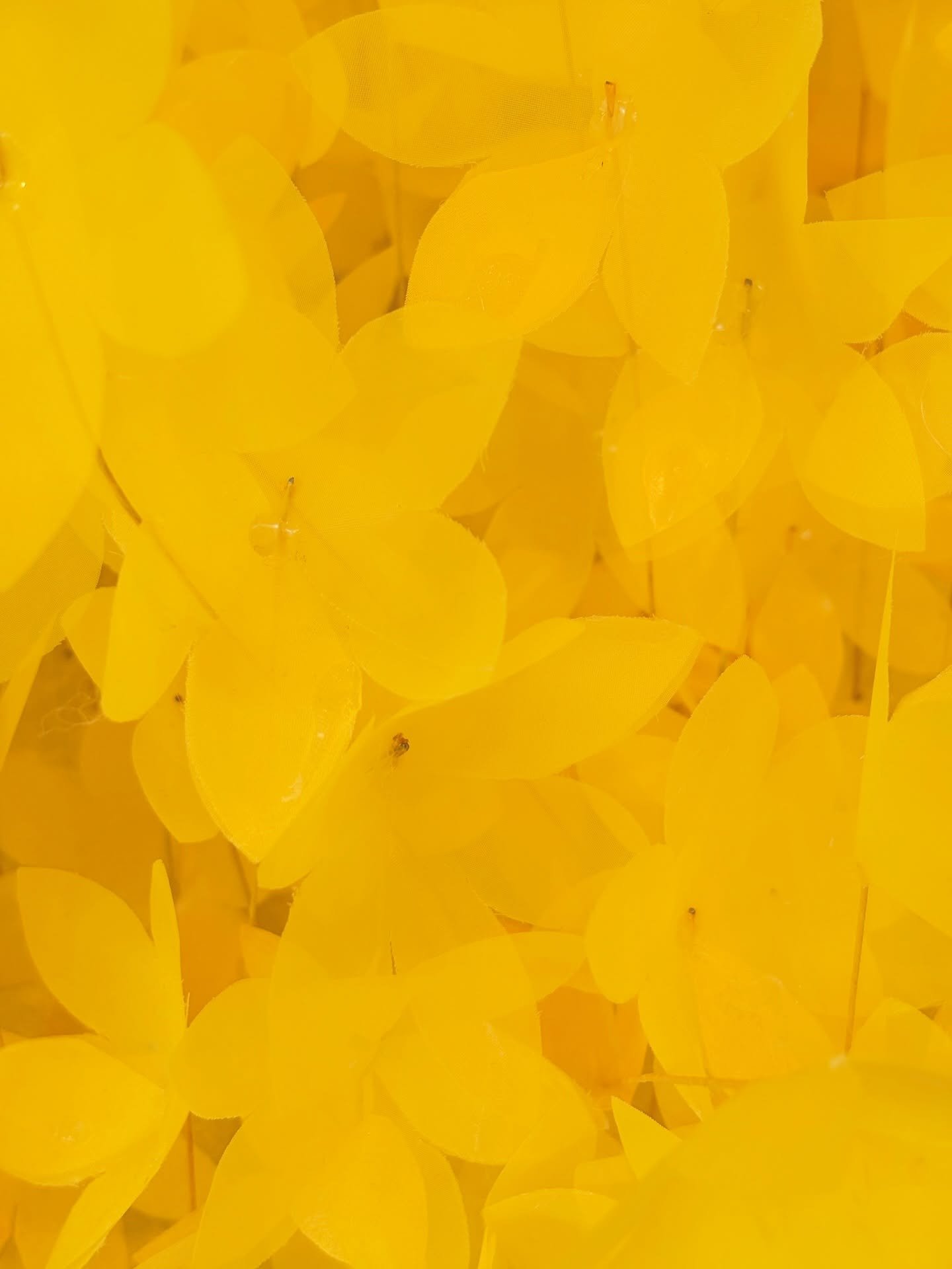 I&rsquo;m not sure what l like more at Anthropology, the decor or the decor. IT&rsquo;s gotta be the decor.