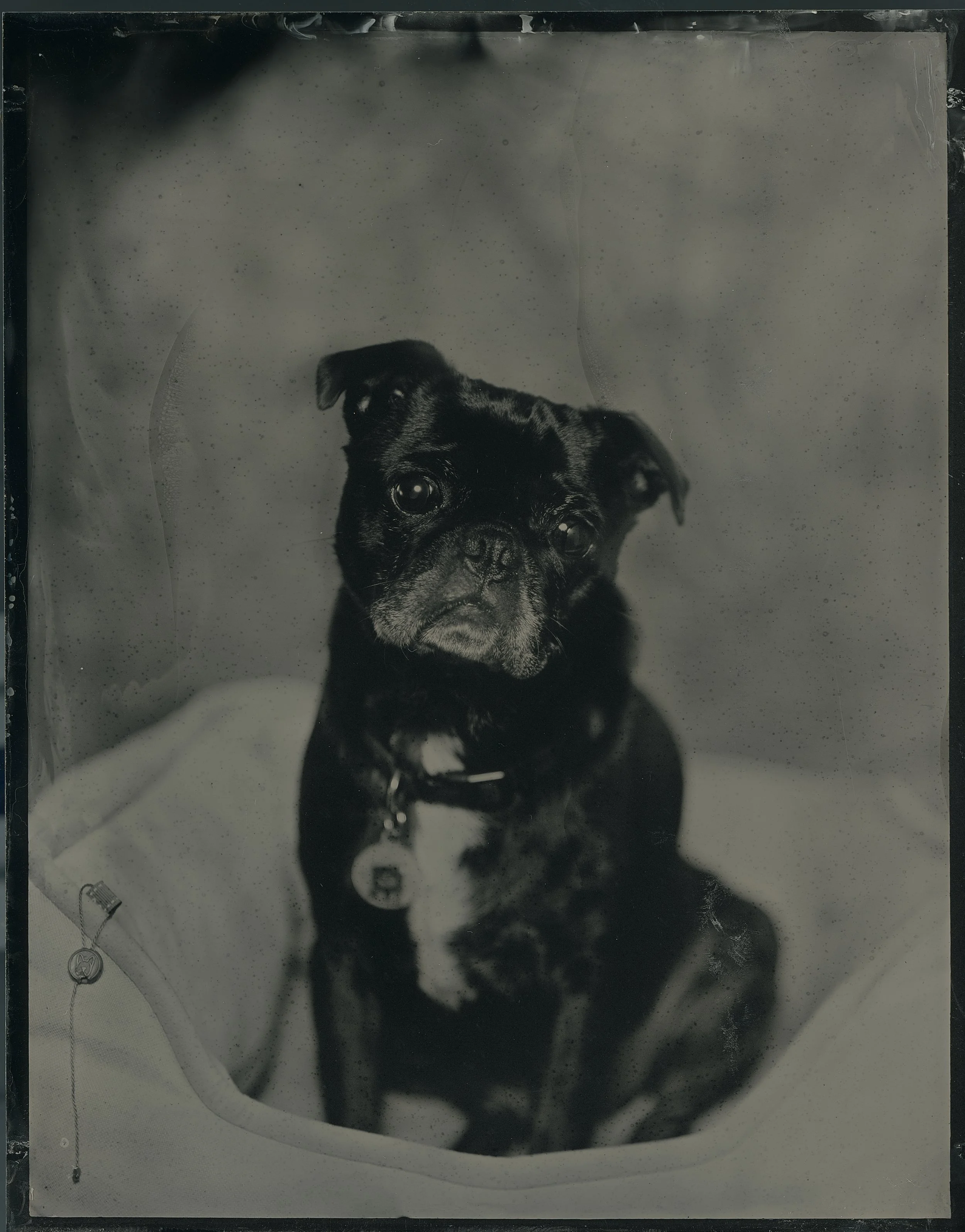 TINTYPE