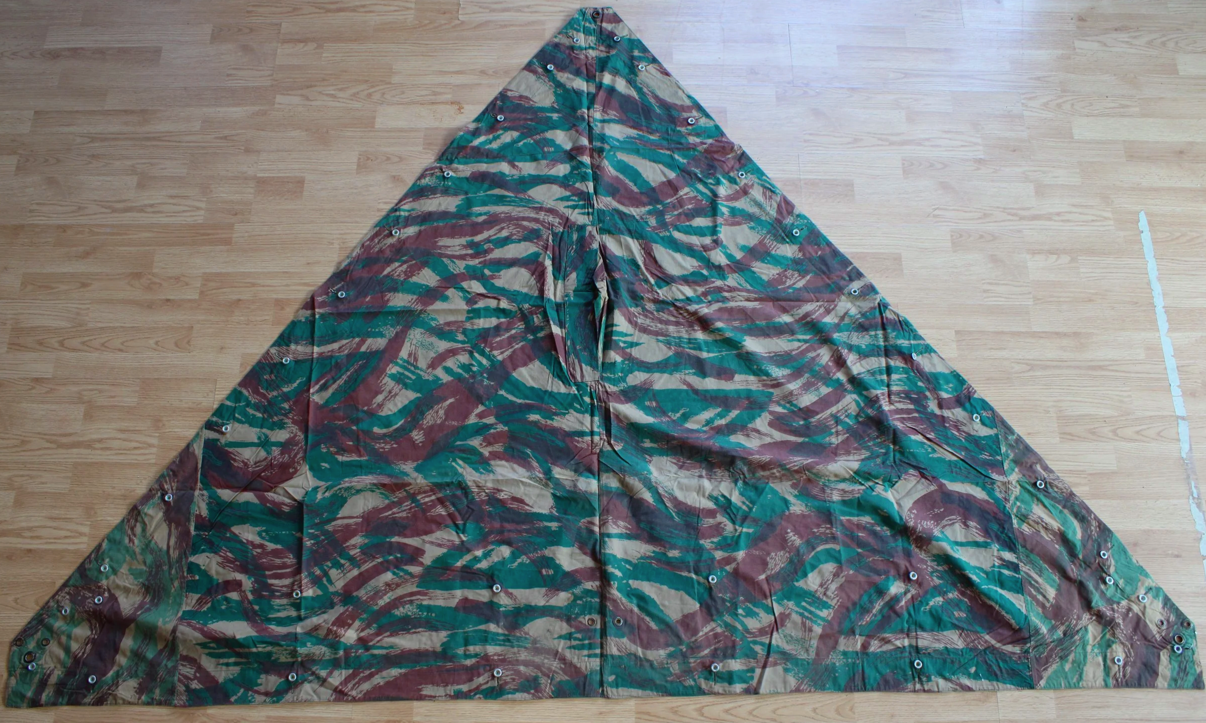 1950's M51 French Algerian Indochina War / Vietnam Lizard Camo Shelter Quarter