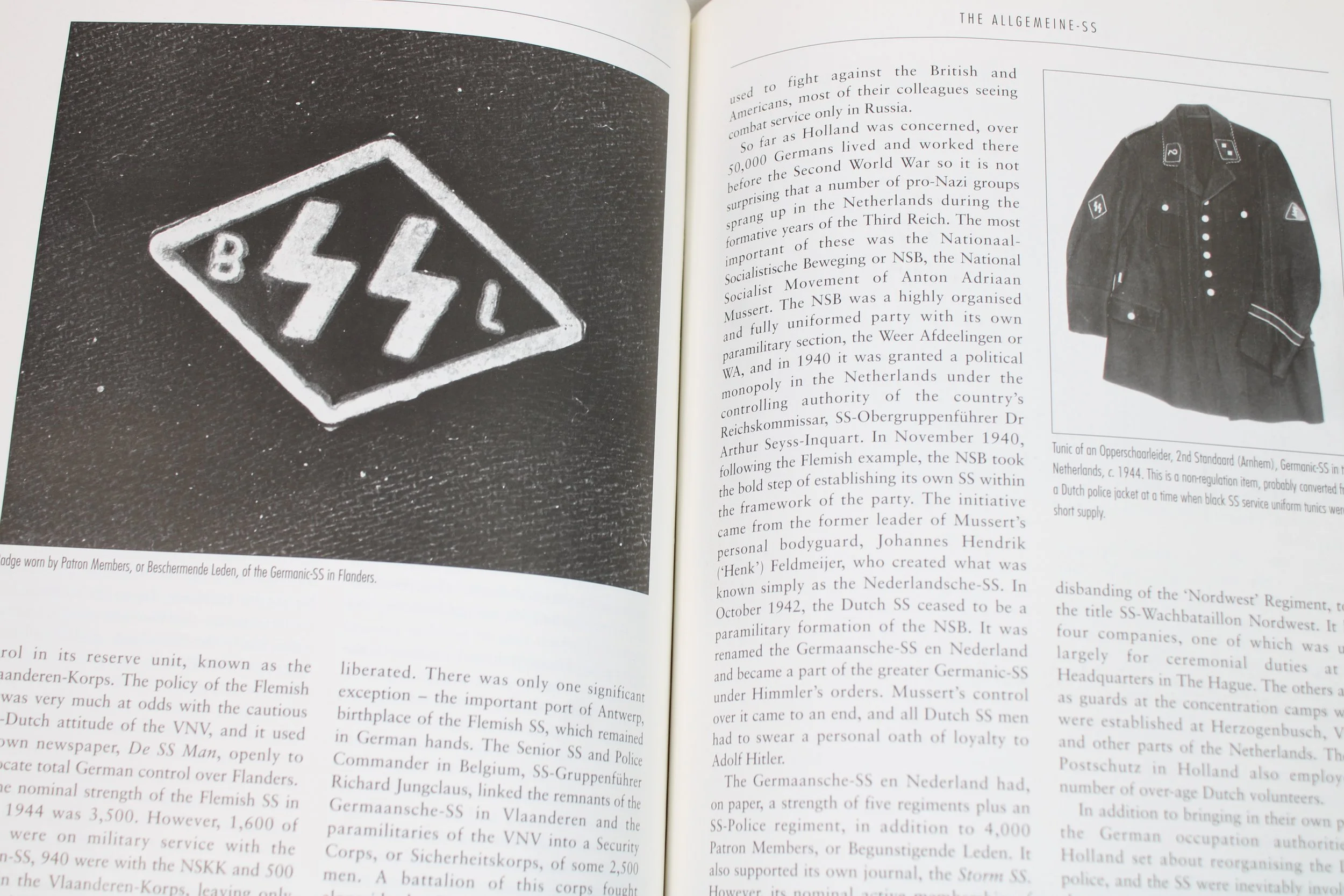 Himmler's Black Order, A History of the SS by Robin Lumsden, 1997