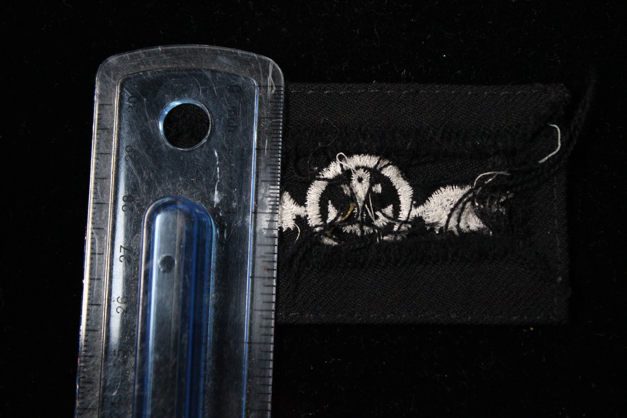 United States Navy Airman Apprentice training badge