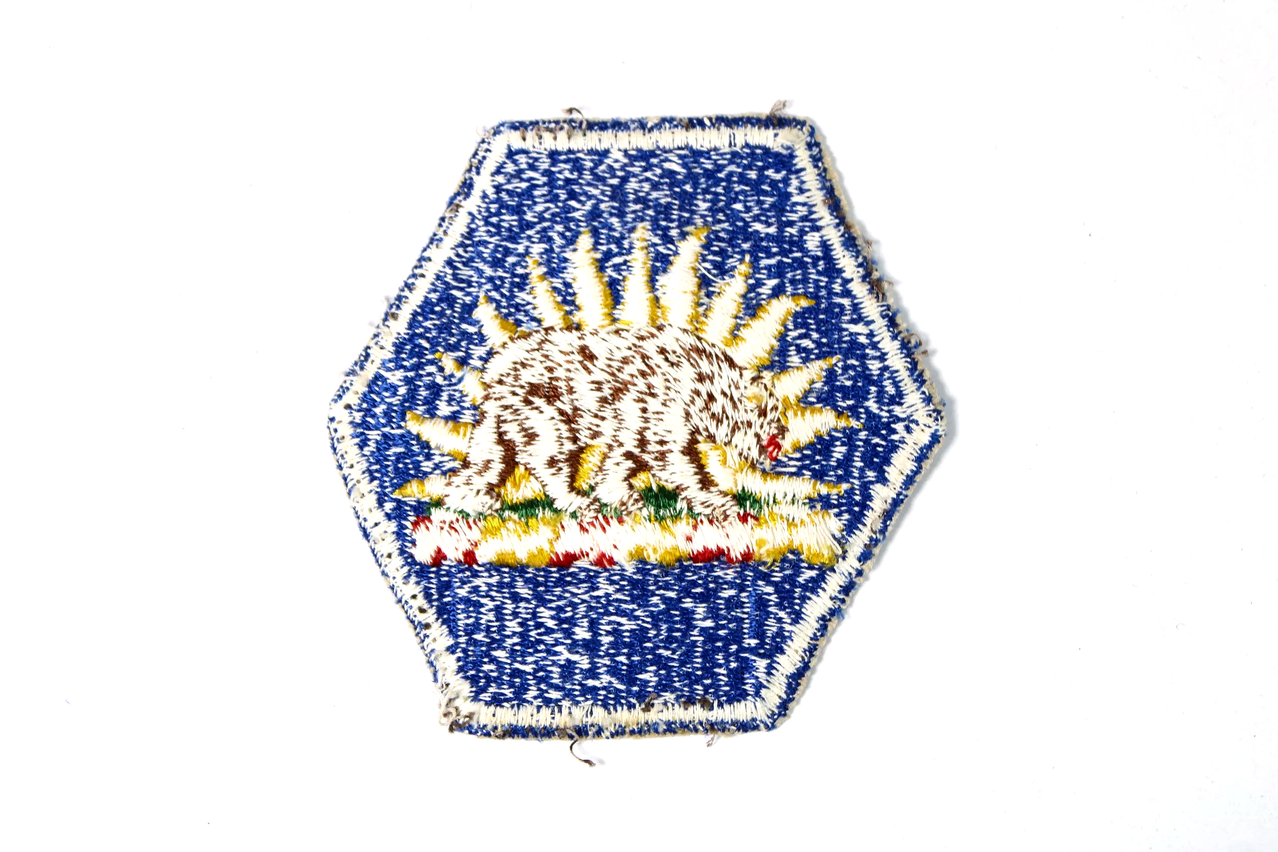 IMG_9274.png