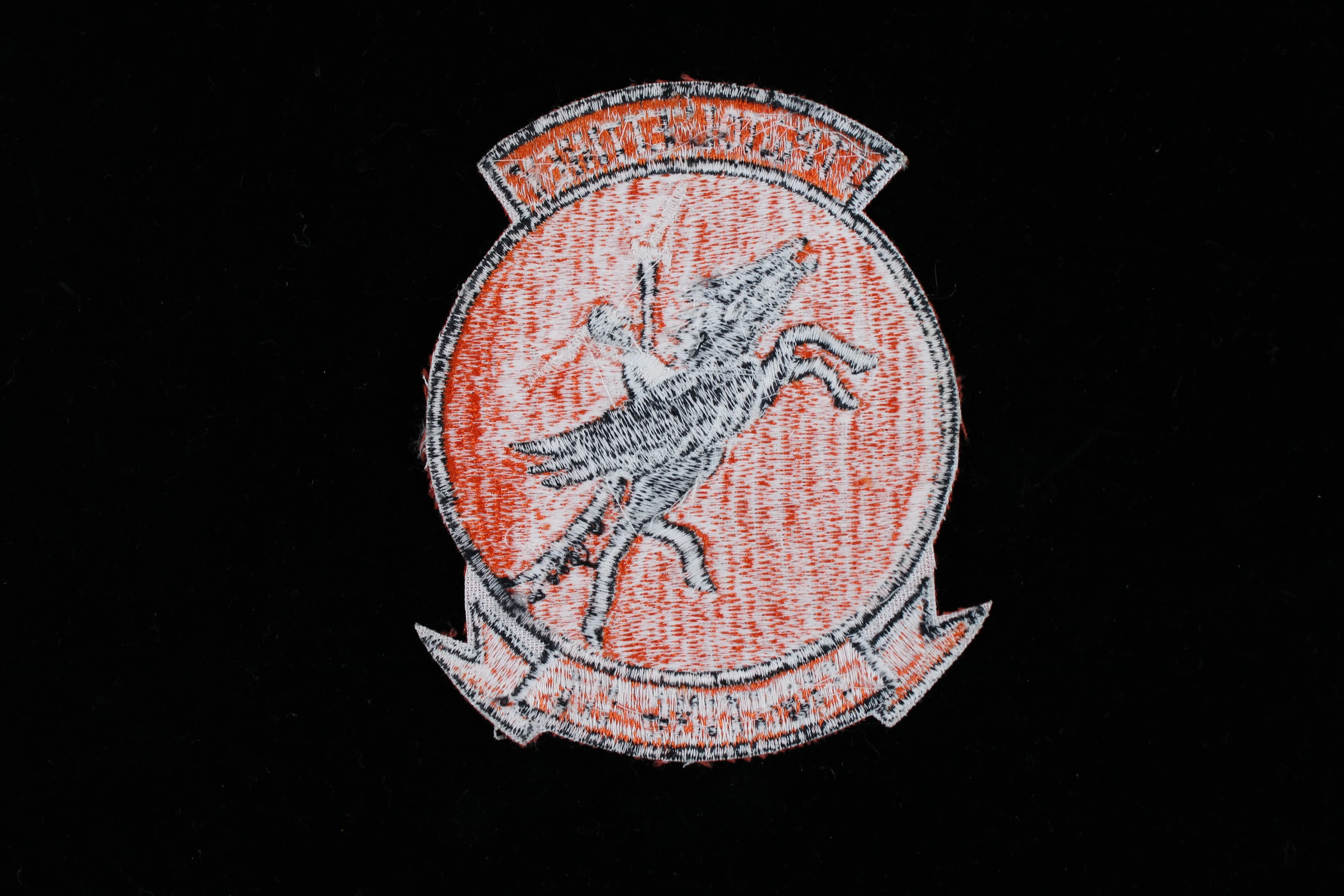 Vietnam War Navy Fighting Squadron 114 (VF-114) "Aardvarks" Patch