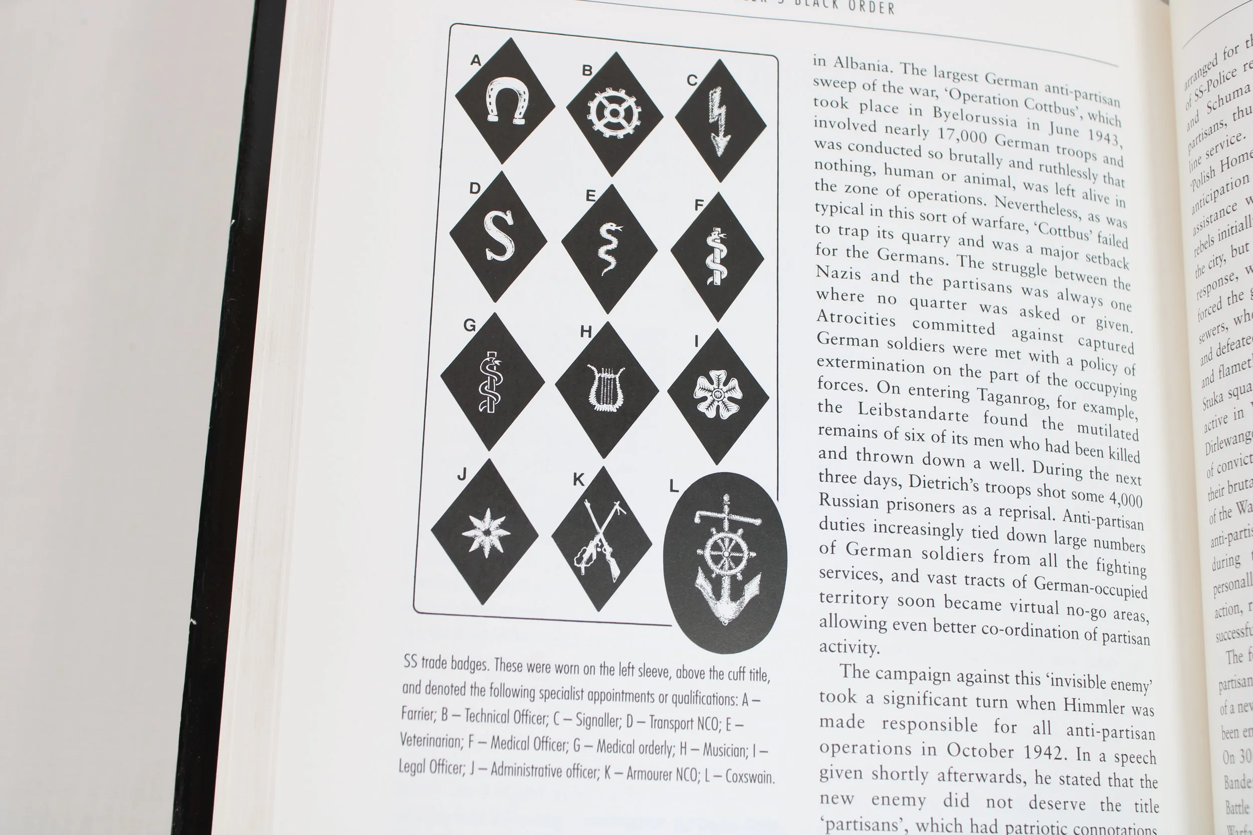 Himmler's Black Order, A History of the SS by Robin Lumsden, 1997