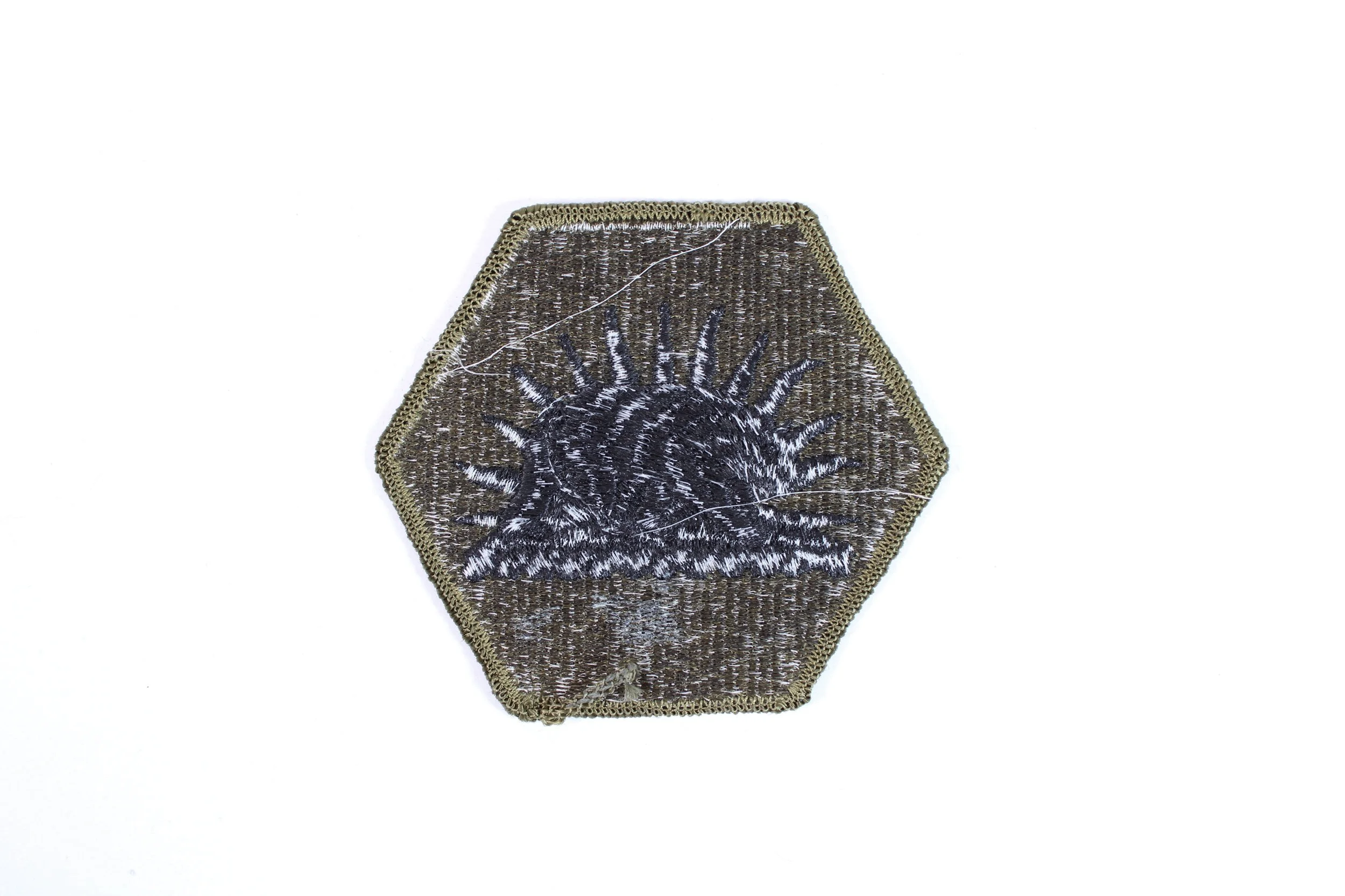 California Army National Guard