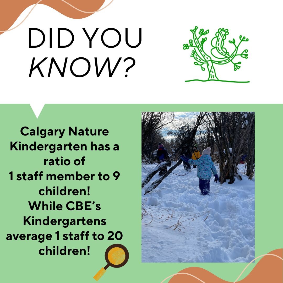Did you know? 🔎

Calgary Nature Kindergarten has a ratio of 1 staff member to 9 children in our classes. Calgary Board of Education (CBE) has, on average, 1 staff member to 20 children in their kindergarten classes...

With our smaller class sizes, 