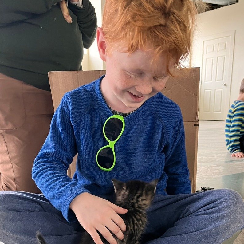 Just Kitten Around 🐈

​The children of Calgary Nature Kindergarten love role-playing like cats! As educators, we look beyond the surface to see how this play allows the children to take on new identities, work on different forms of communication, bu