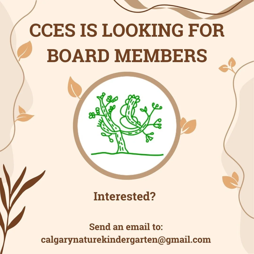 Children's Commons Ecological Society is looking for a new Treasurer! 💼

The CCES Board is a hands-on working board and operates with a spirit of helpfulness. Where other members have a particular skill set, interest or ability we aim to work togeth