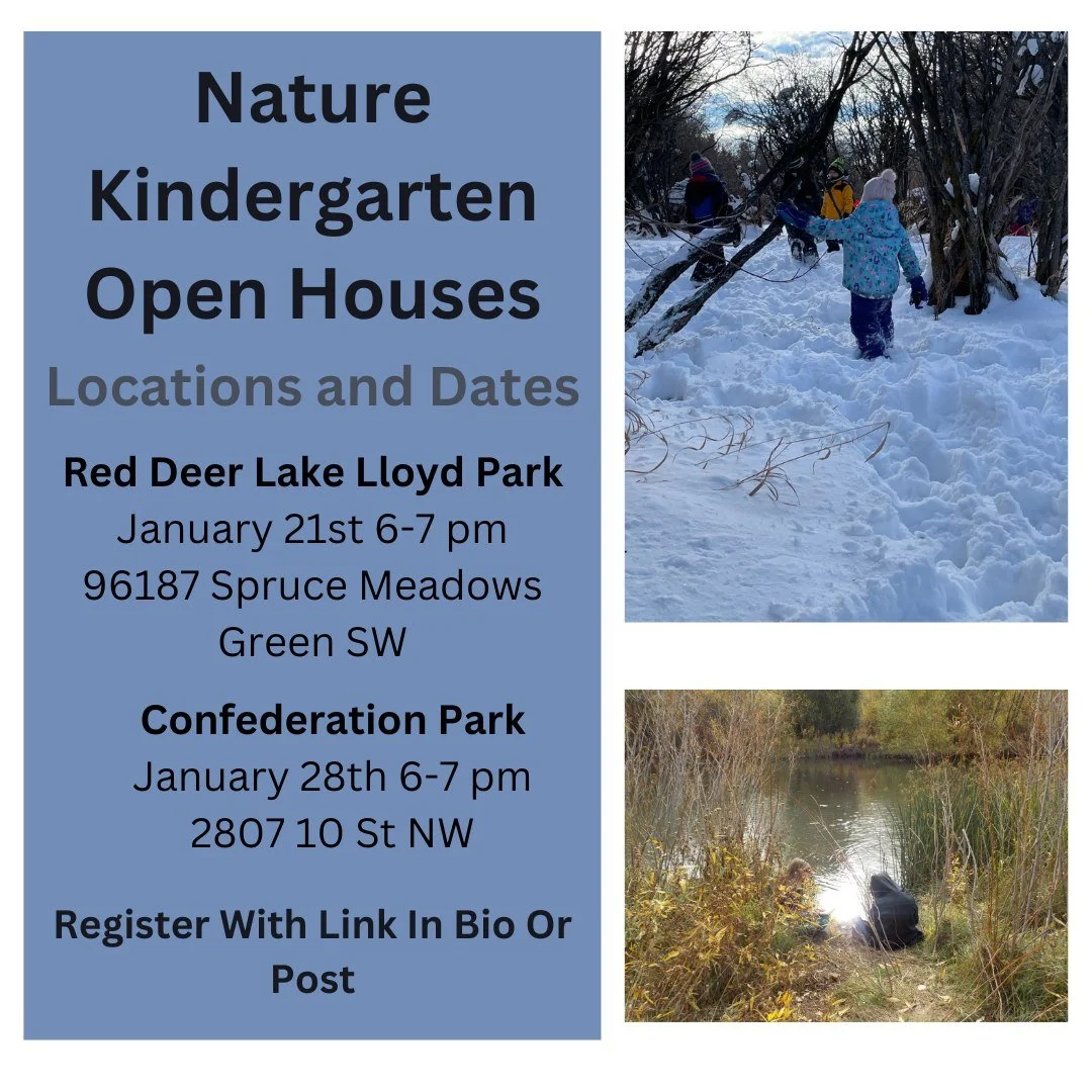 Open Houses at Calgary Nature Kindergarten 🏫

Do you wonder how children at our program cover the Alberta Kindergarten Curriculum while going outside almost every single day? Well, look no further! Calgary Nature Kindergarten is hosting two Open Hou