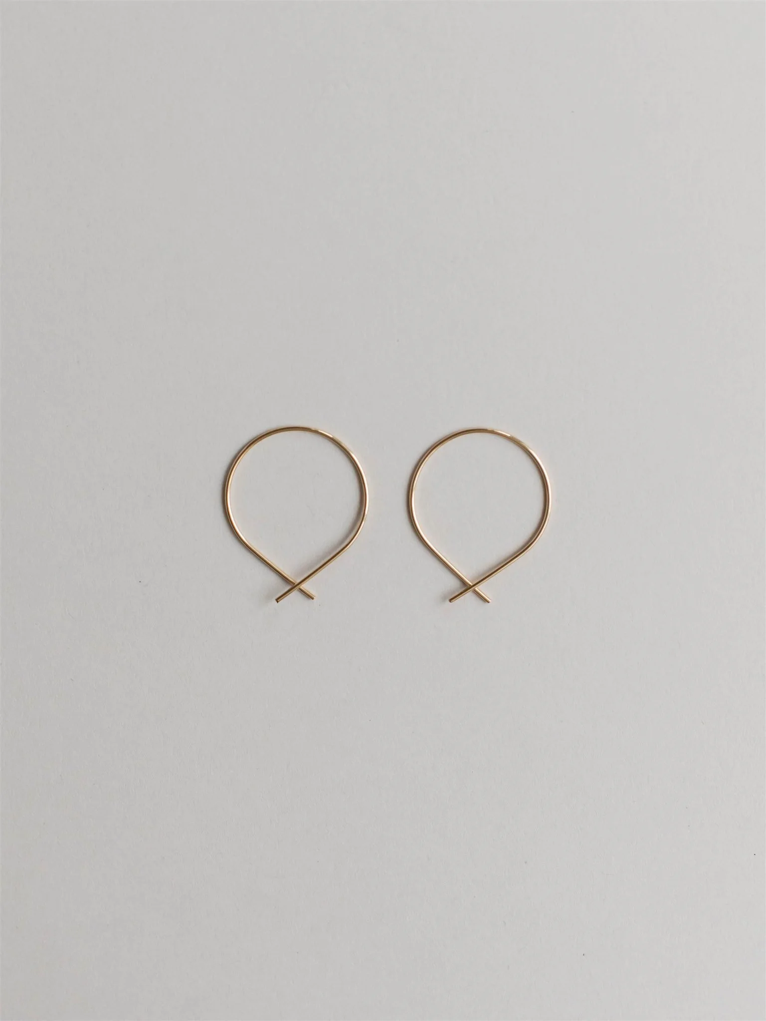Hoops Medium Fish Wire Earrings