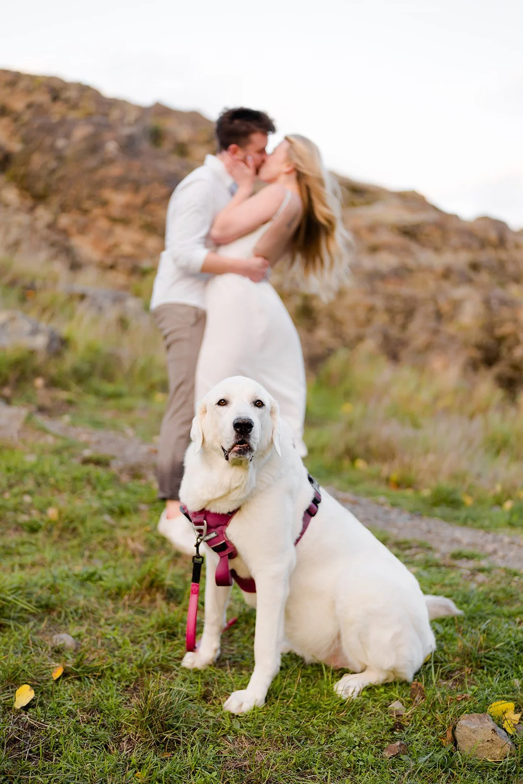 Dallas-Road-Engagement-Shoot-Victoria-Wedding-Photographer-220.jpg