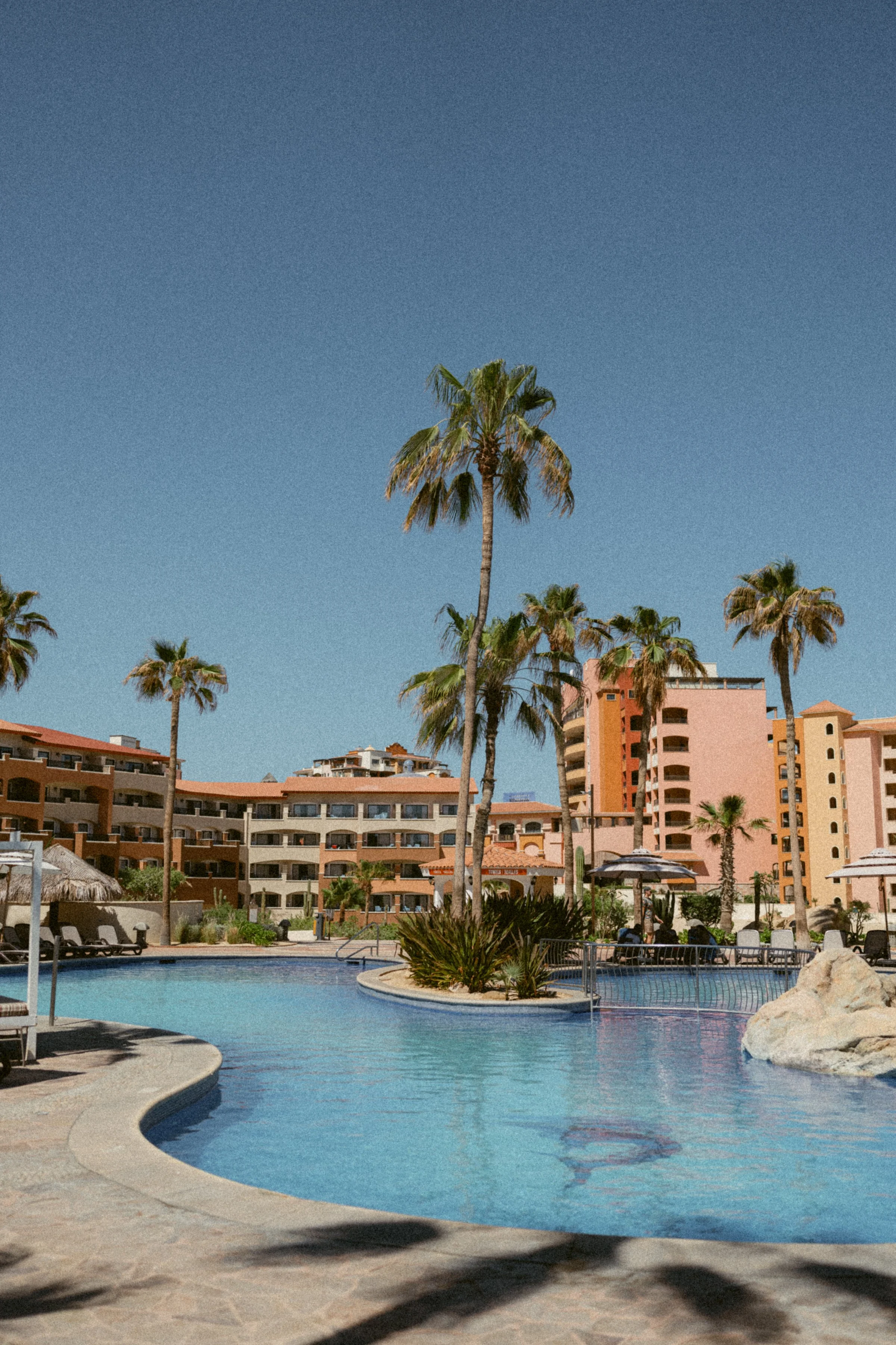 Palm-lined resort pool in Mexico with warm-toned architecture and lounge seating.