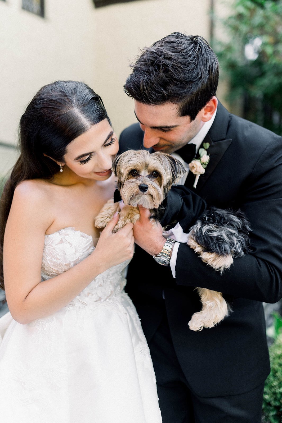 Bride and groom snuggle their Yorkie puppy before heading into reception at Hart House in Vancouver BC.