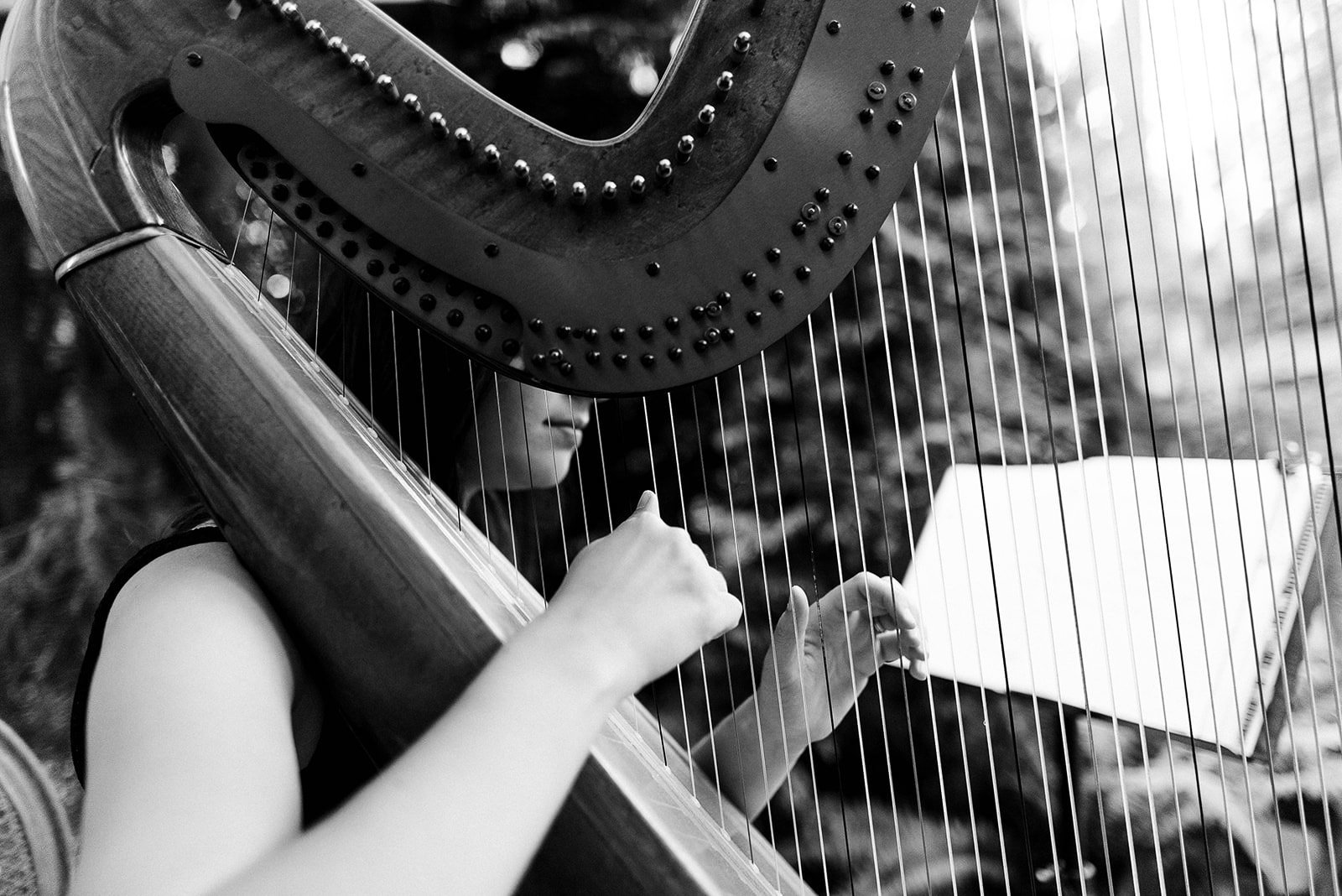 Woman playing a harp at a backyard wedding ceremony in Vancouver, BC.