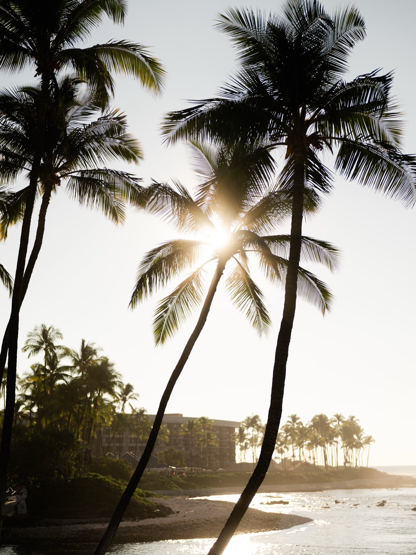 love in paradise 🤍

#destinationwedding #destinationweddingphotography #paradisewedding #vancouverweddingphotographer #aestheticwedding