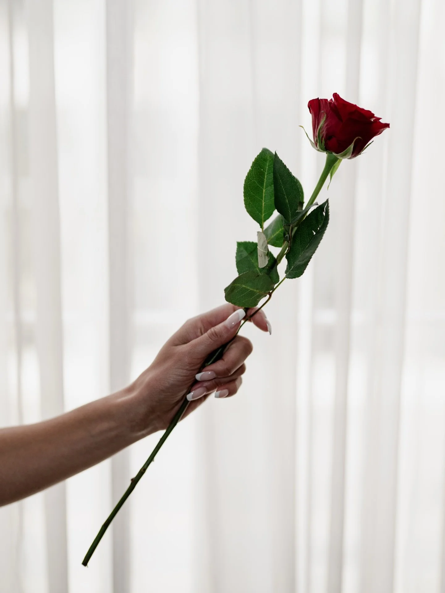 detail appreciation post ✨ 

#detailshots #weddingdetails #aestheticweddingdetails #aestheticweddingphotographer #vancouverweddings