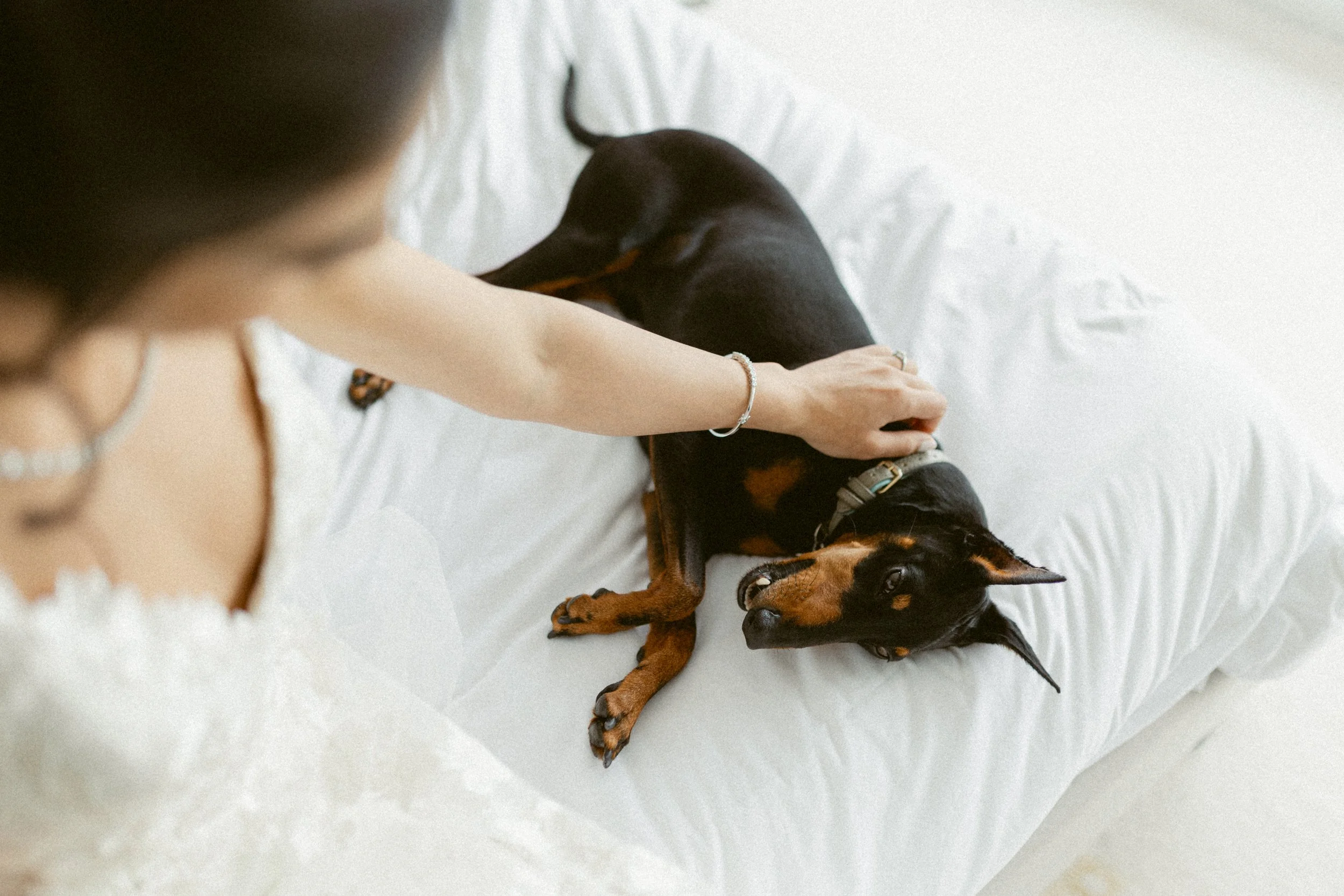 Bride relaxing on the bed with her dog during wedding morning prep.