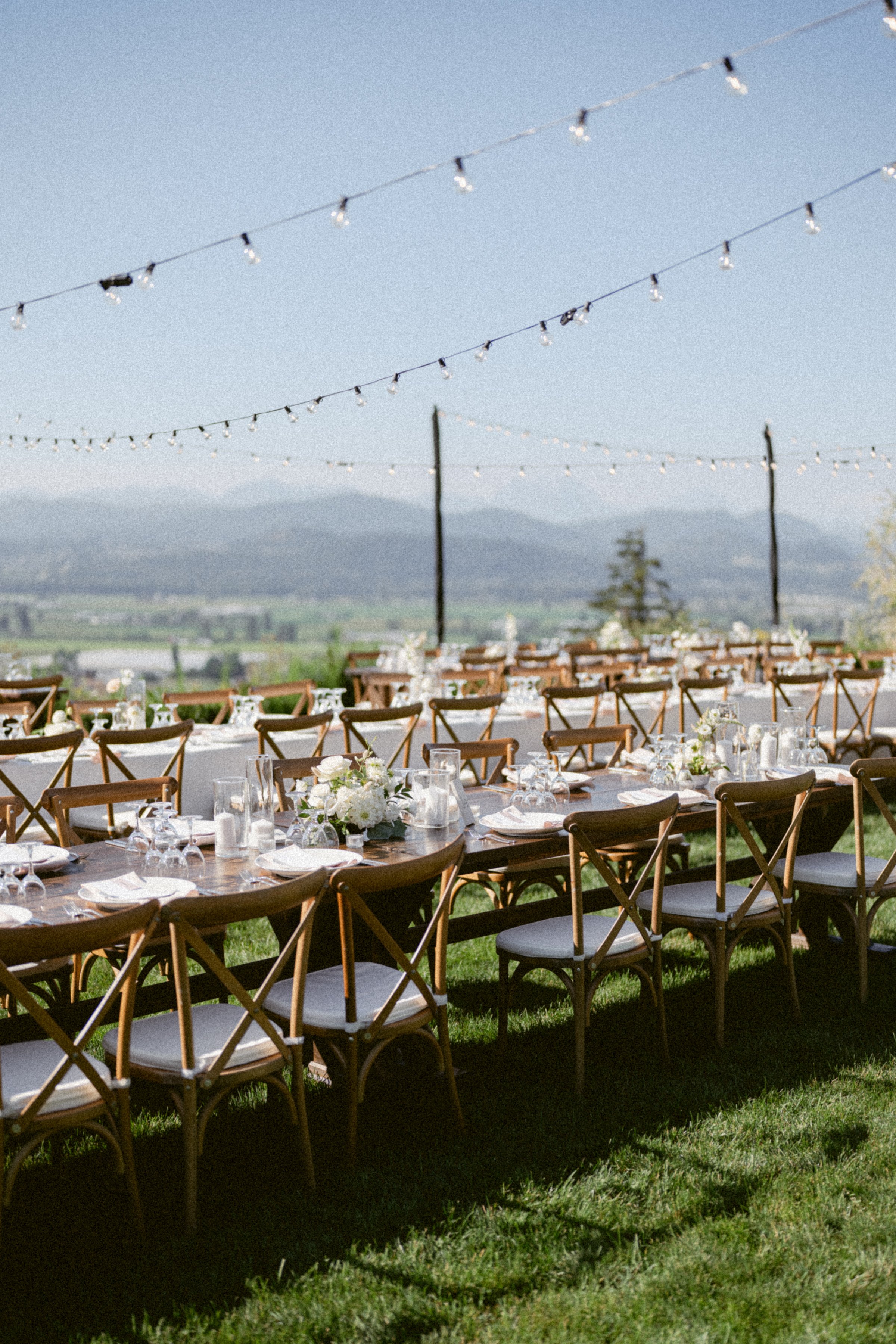 A vineyard wedding reception on a sunny summer day, featuring two long wooden tables, vineyard chairs and sting lights.
