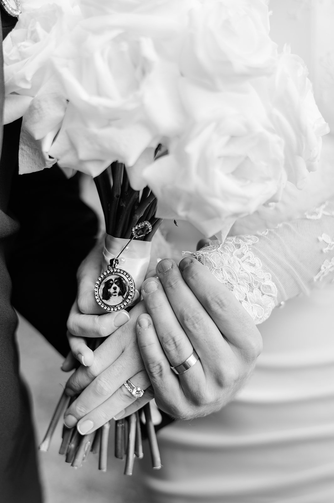 RN-italian-cultural-centre-vancouver-wedding-photographer-beautiful-life-studios-bc-423_websize.jpg