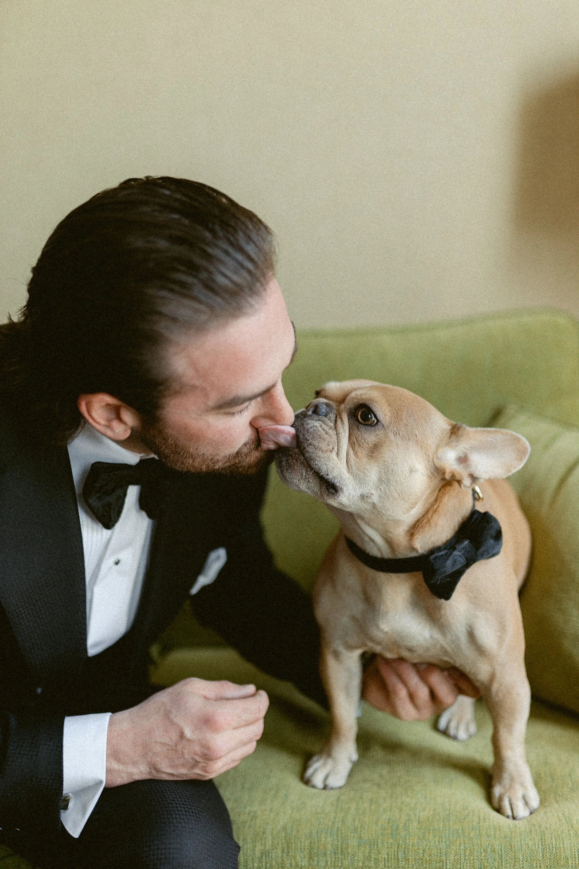 Groom in a black tuxedo sharing a playful kiss with his French bulldog during wedding preparations at Prestige Oceanfront Resort in Sooke.