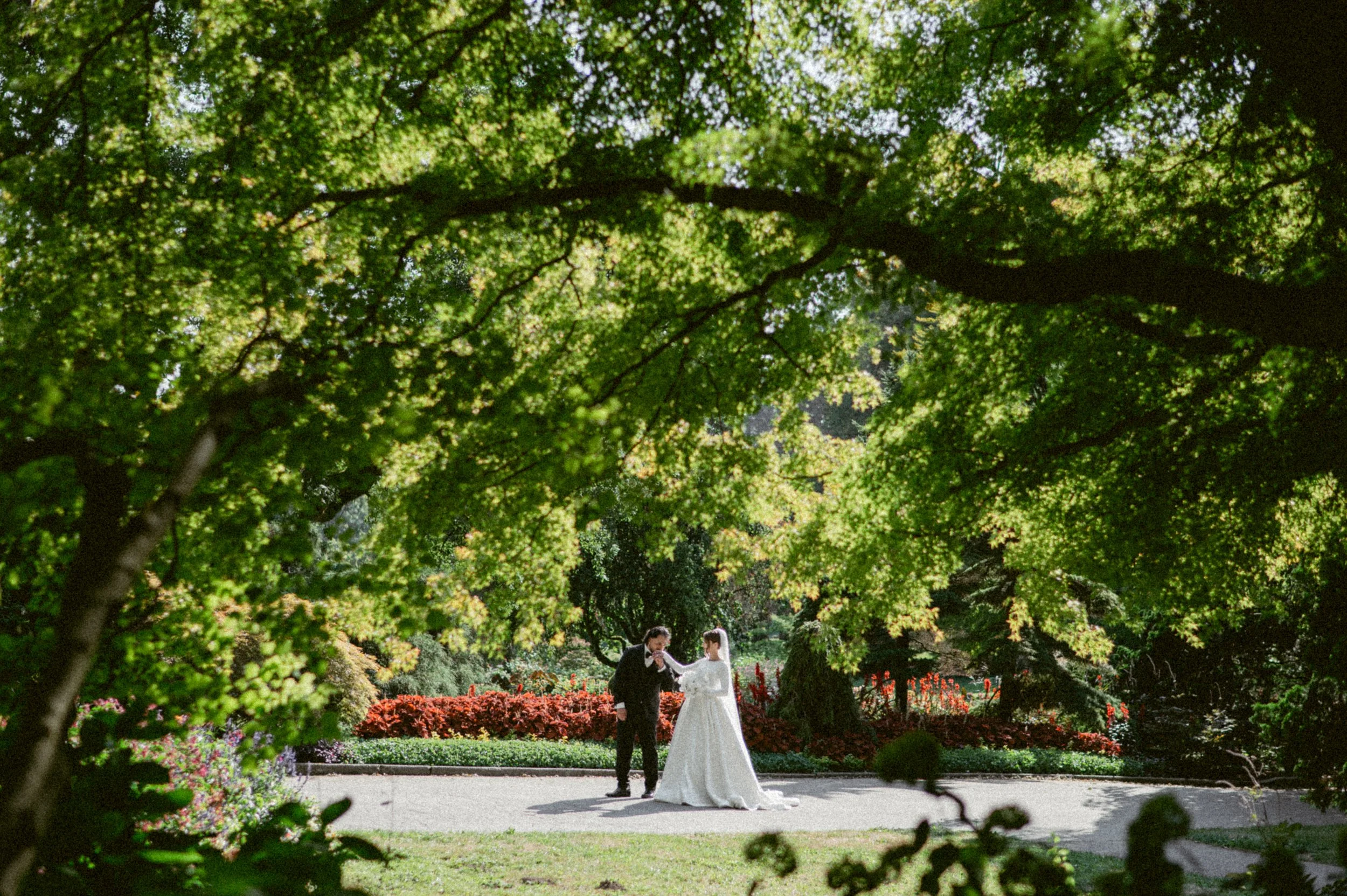 Bride and groom sharing a quiet moment beneath lush green trees in Stanley Park, Vancouver, surrounded by gardens and soft natural light.