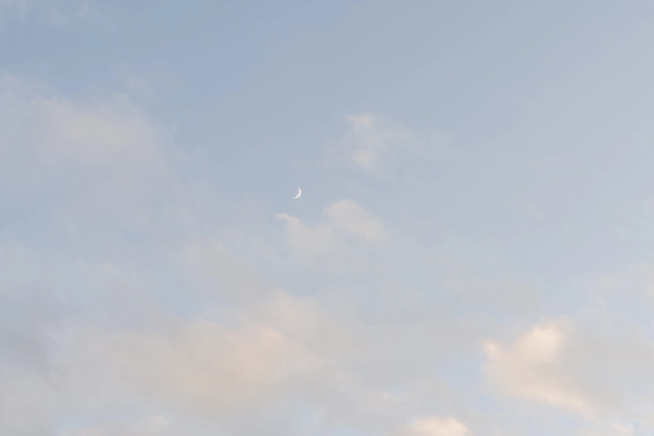 JT-Mann-Farms-wedding-photographer-beautiful-life-studios-bc-51.jpg