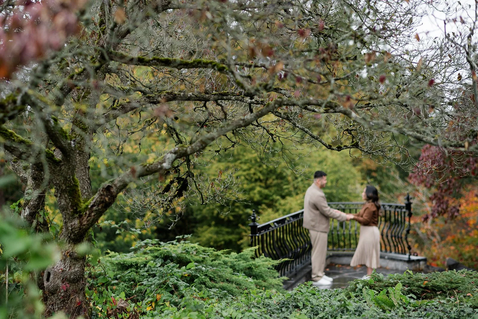 M&A - Queen-Elizabeth-Park-Engagement-Photos-Vancouver-Wedding-Photographer-14.jpg