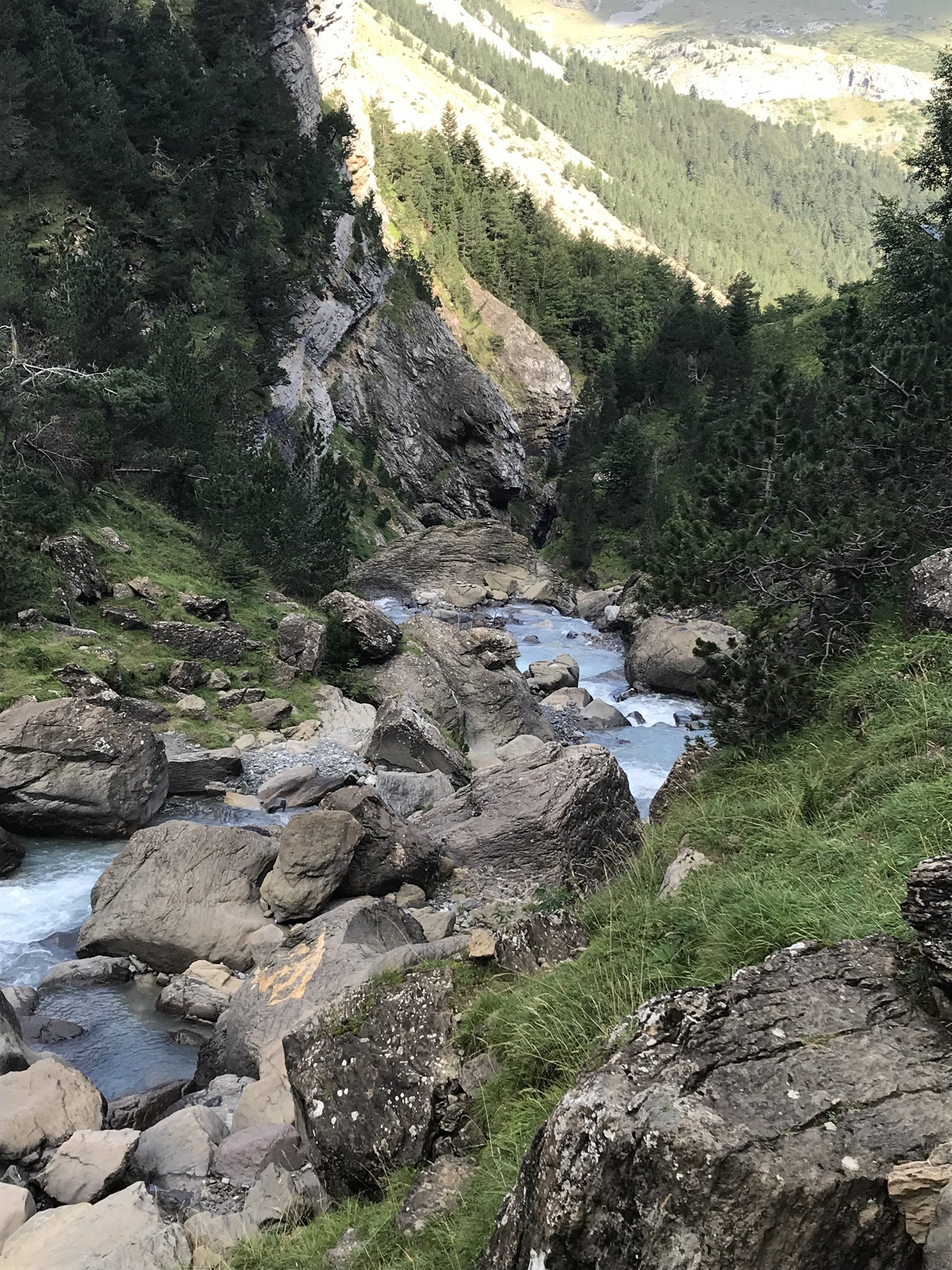 IMG_4577.jpeg